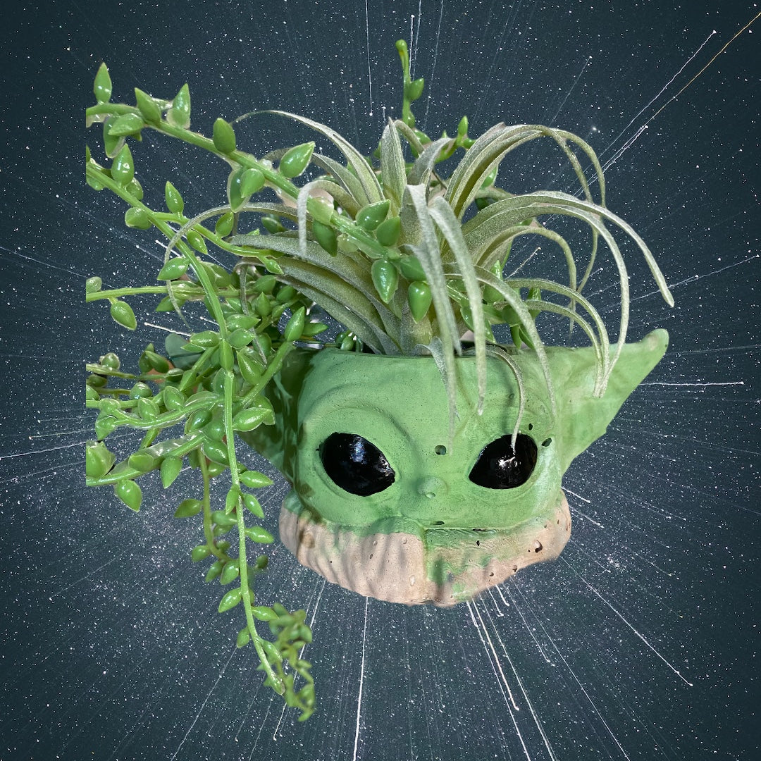 Space Planter