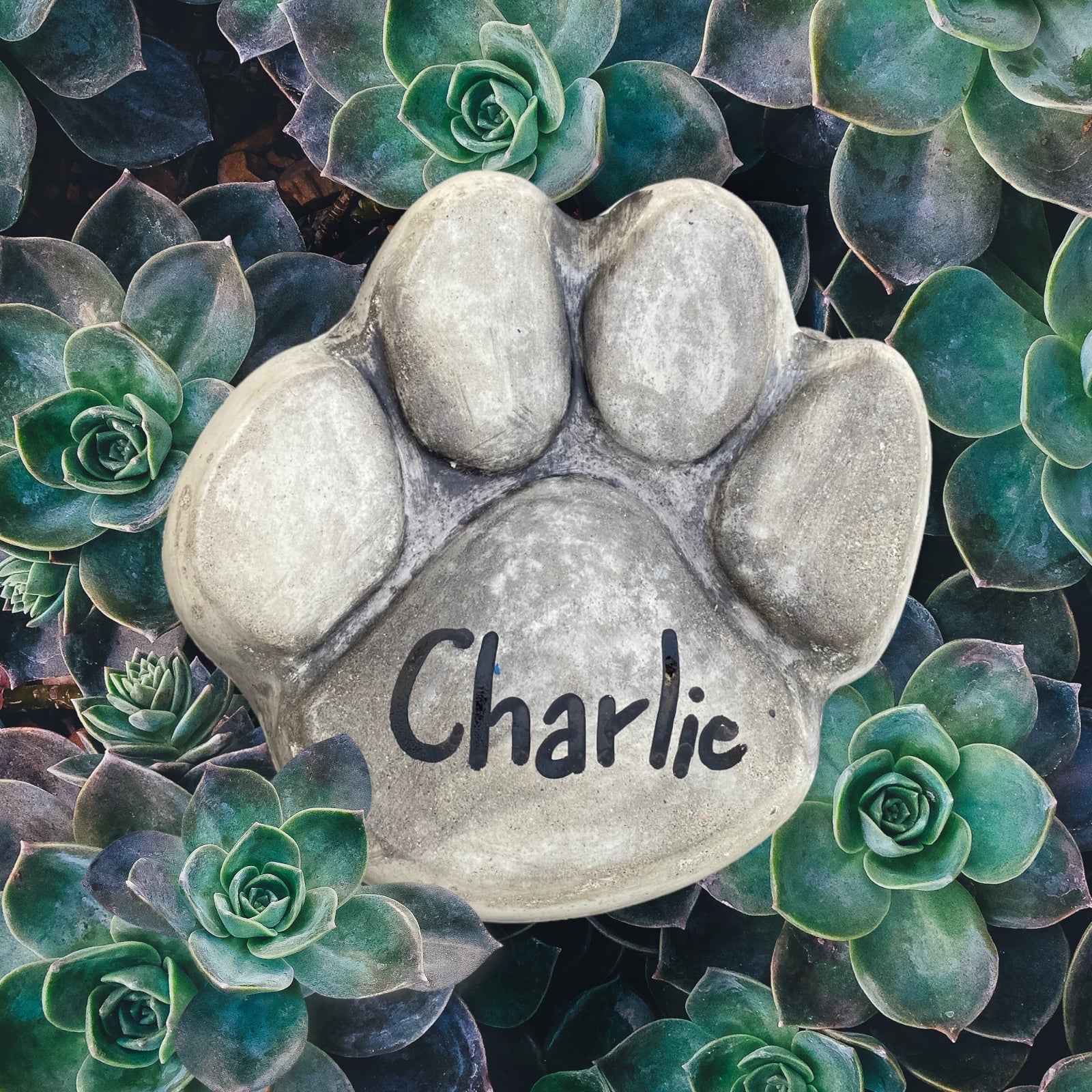 Paw Stone