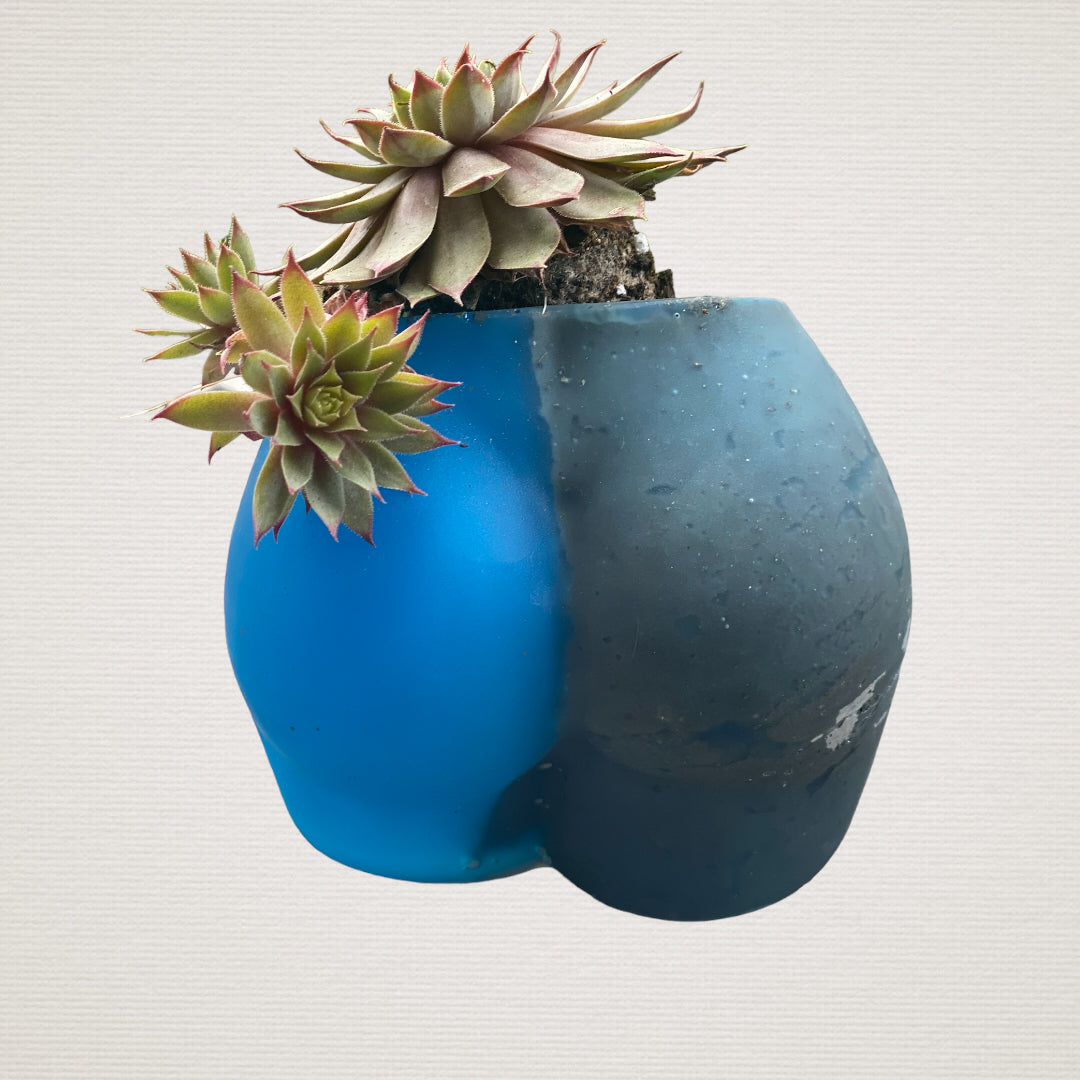 Little Booty Planter