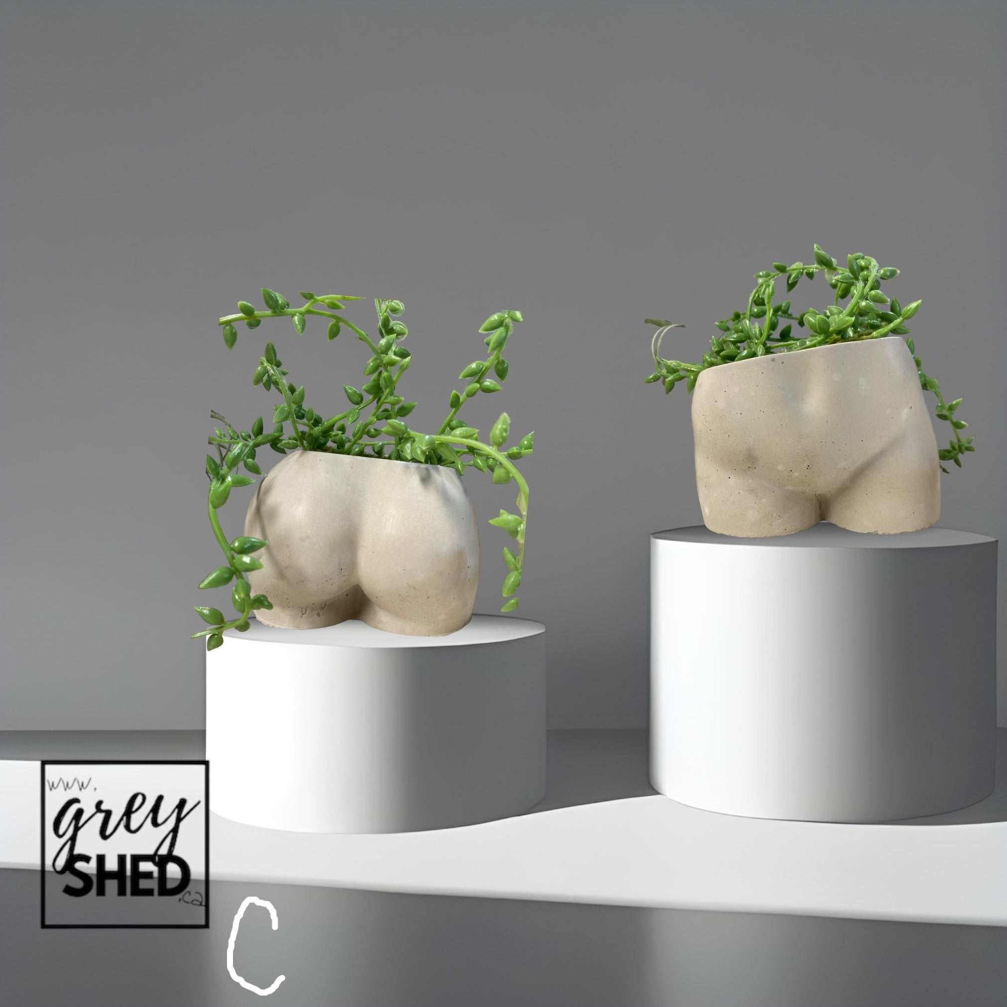 Little Booty Planter