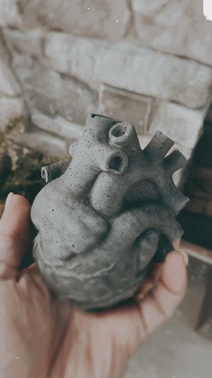 Anatomical Heart Planter