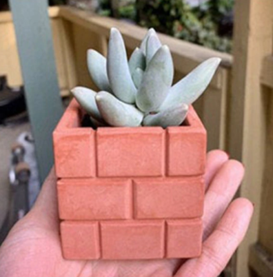 Little plumber planters