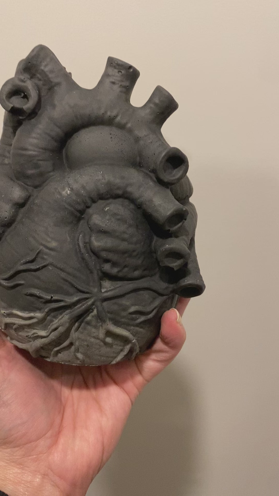 Anatomical Heart Planter