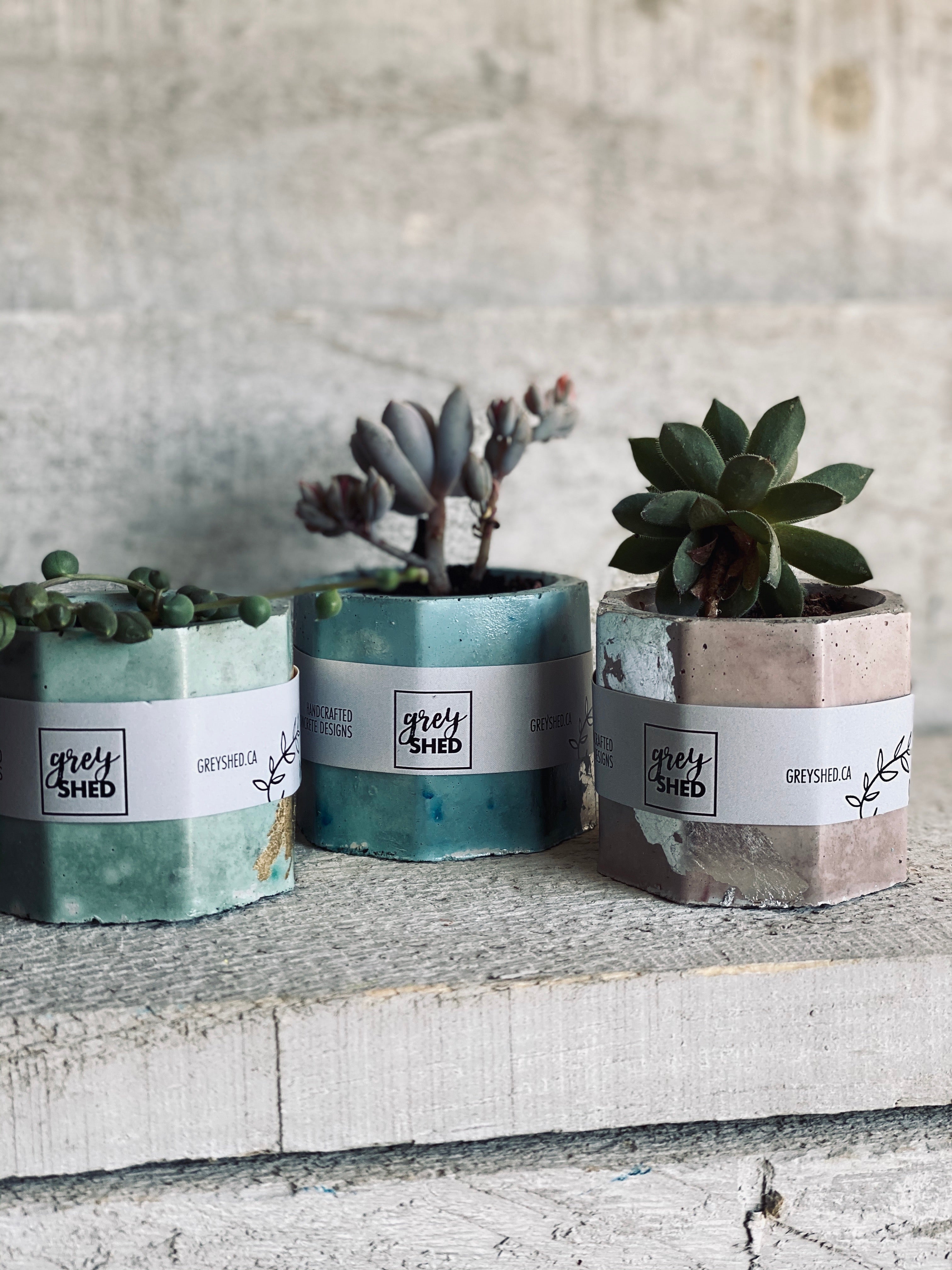 Concrete Geometric Planter