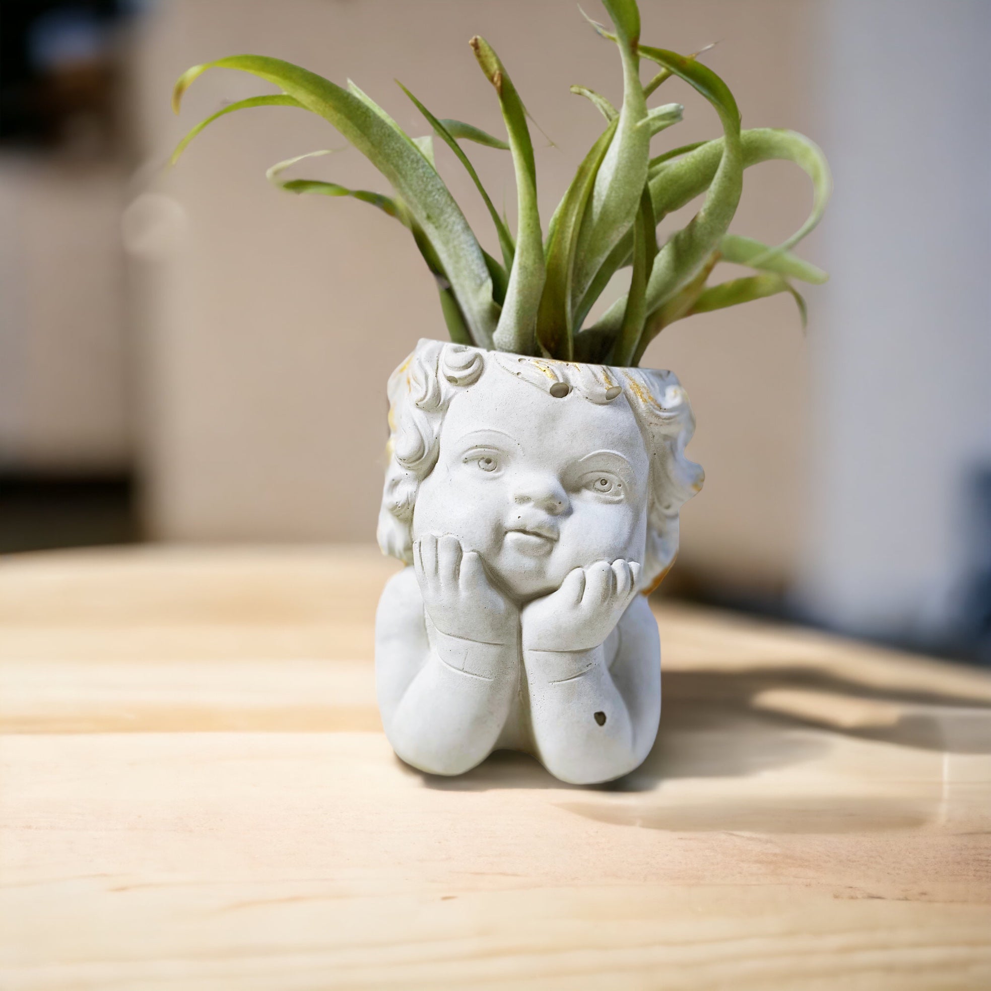 Gabriel Cherub Planter