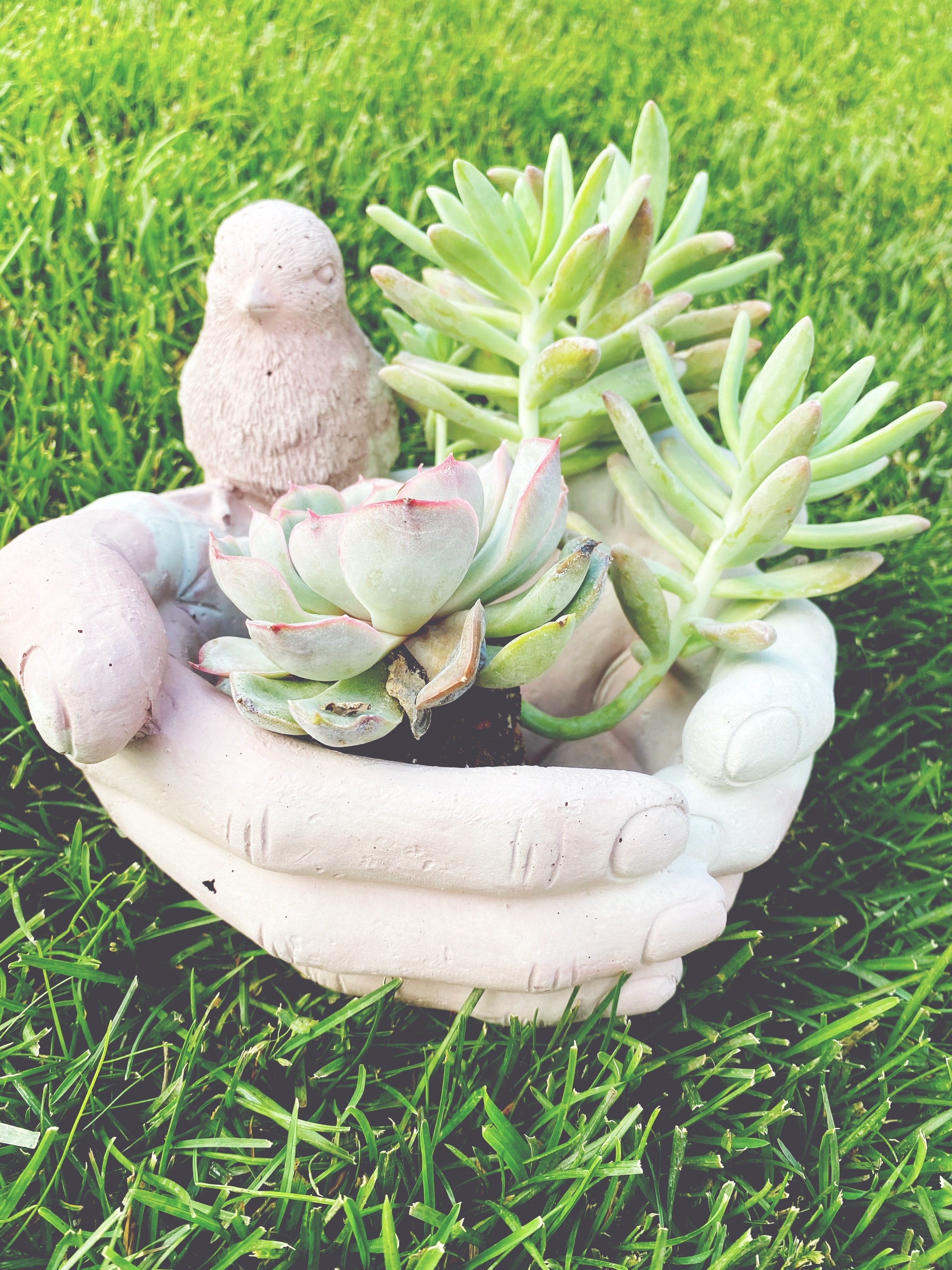Kratos' Hands Planter | Bird Bath - Grey Shed