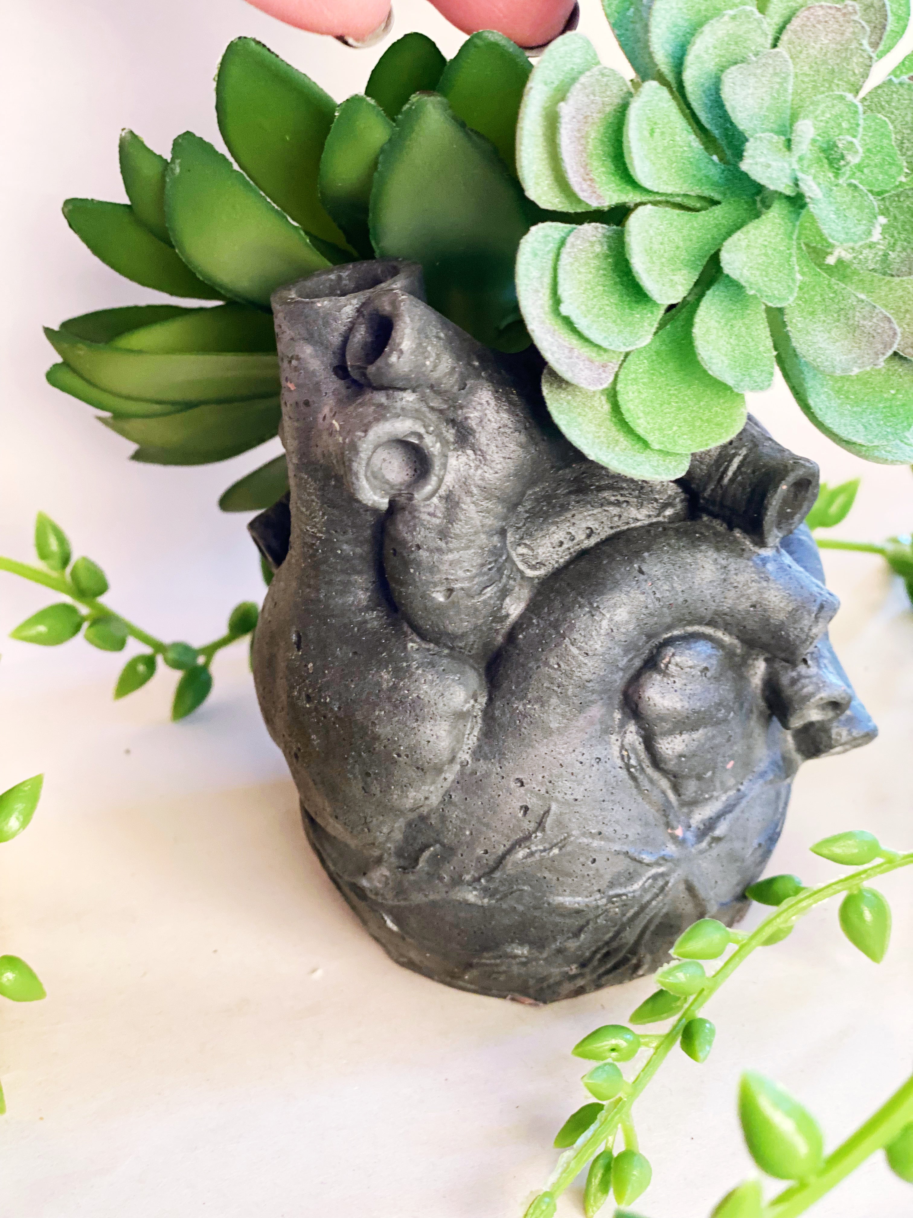 Anatomical Heart Planter