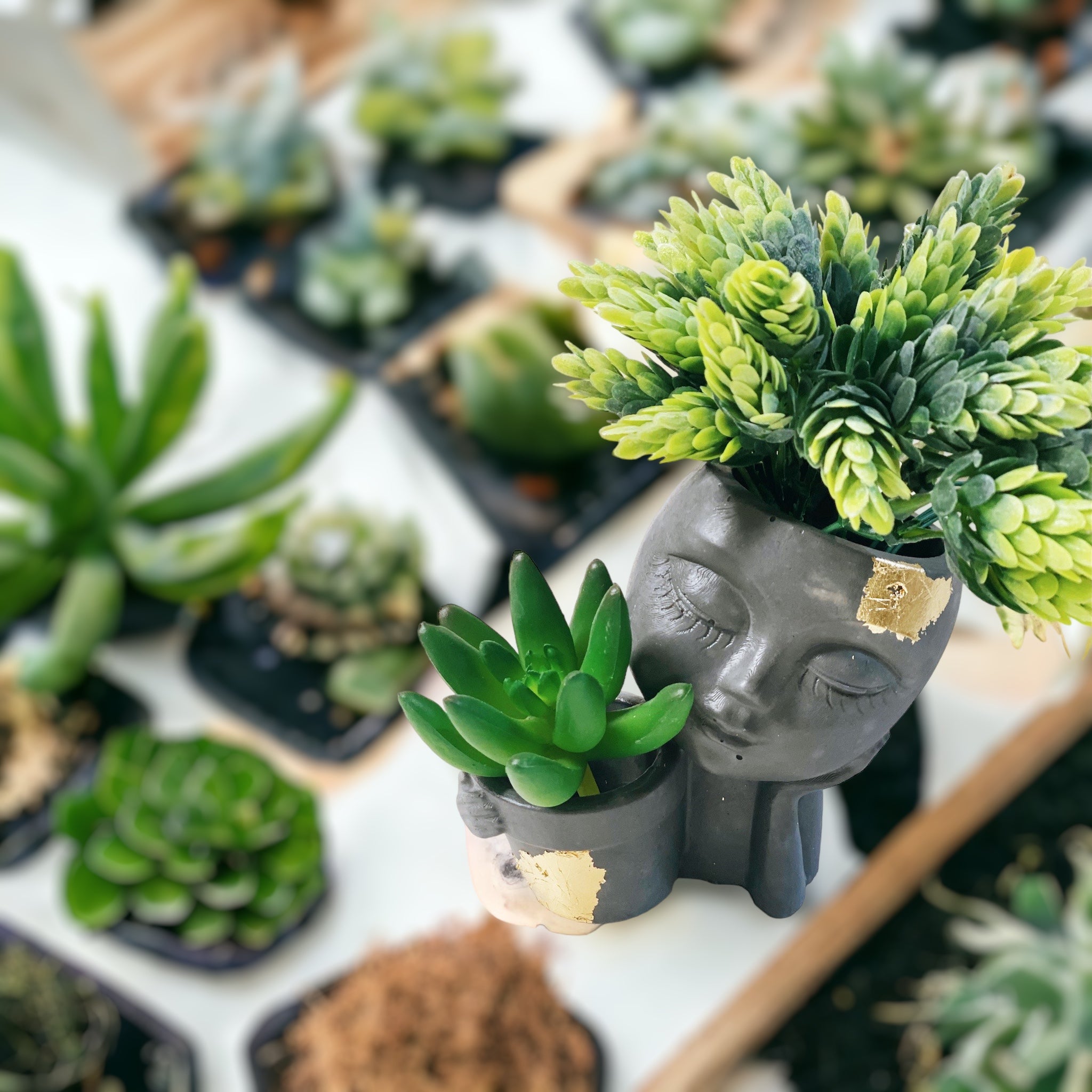 Layla Planter