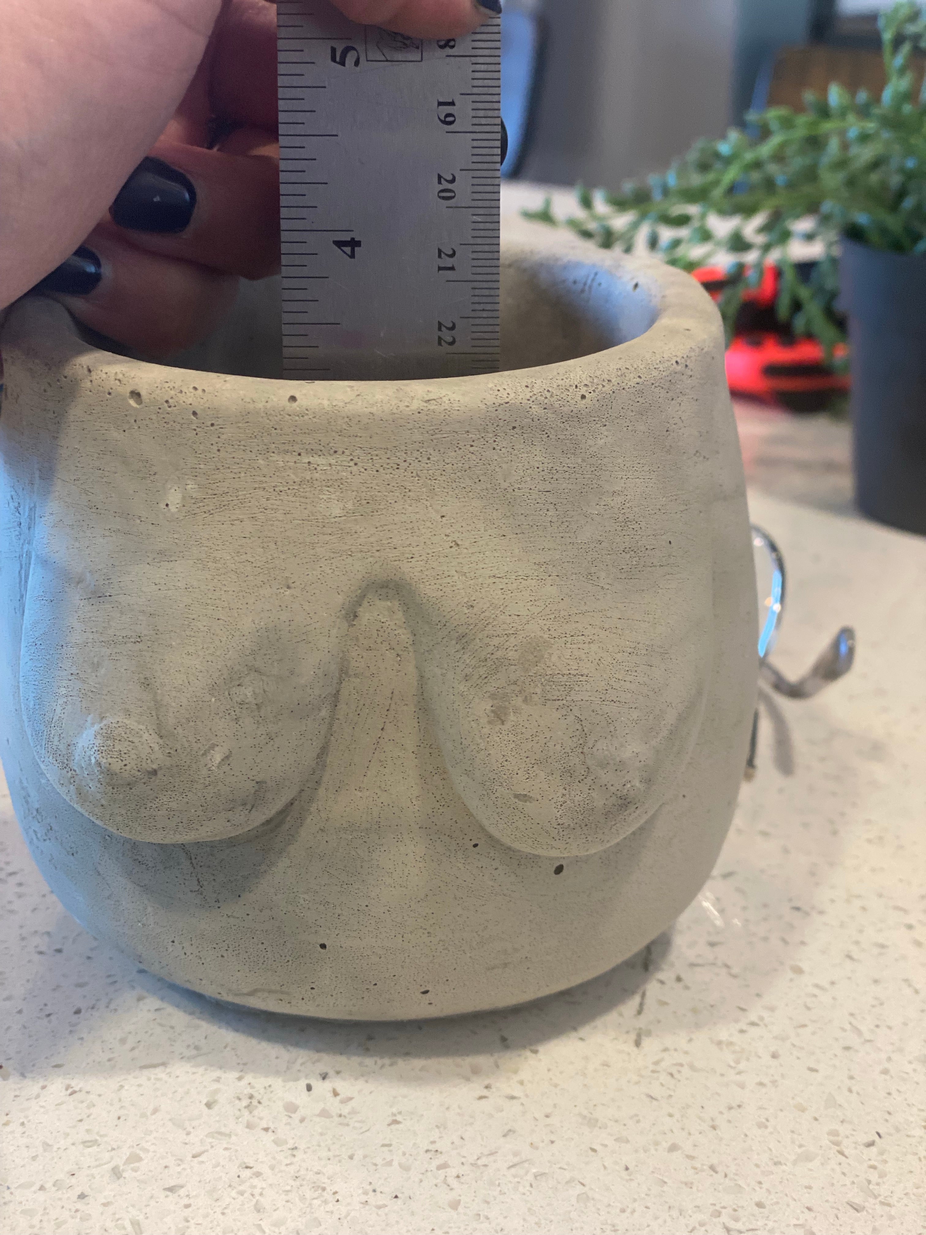 Boobies Planters