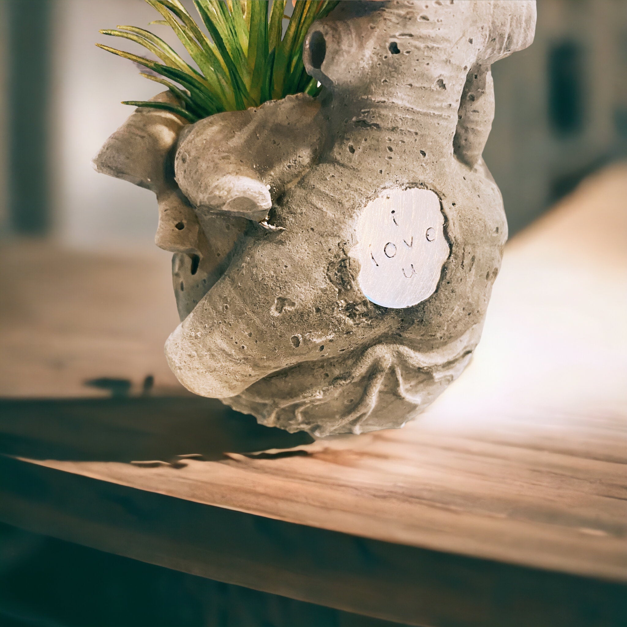 Anatomical Heart Planter