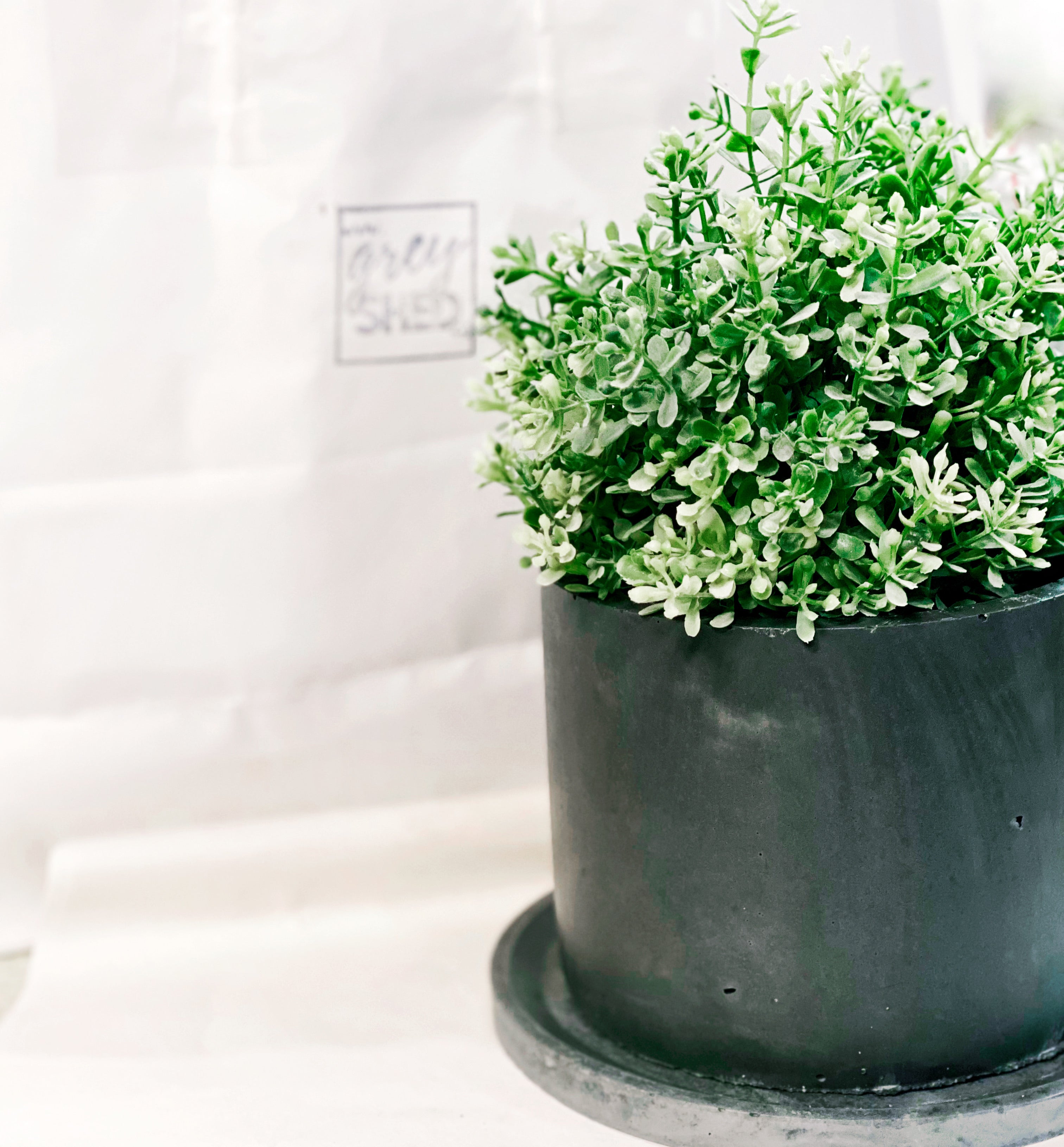 Round Concrete Planter
