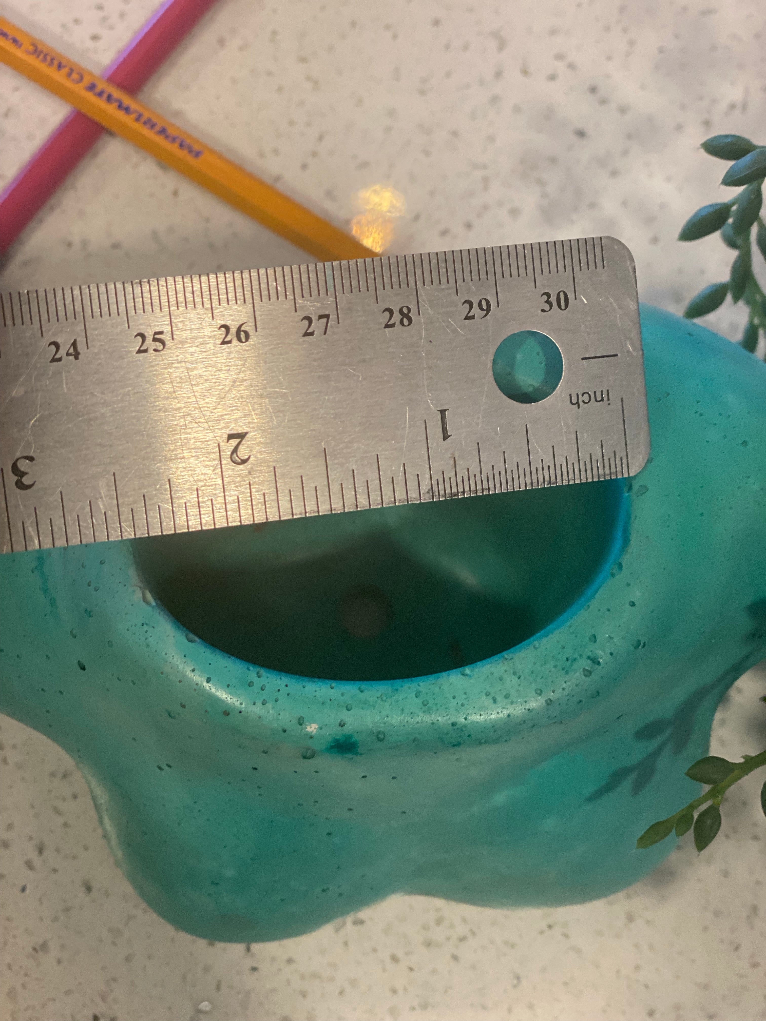 Boobies Planters