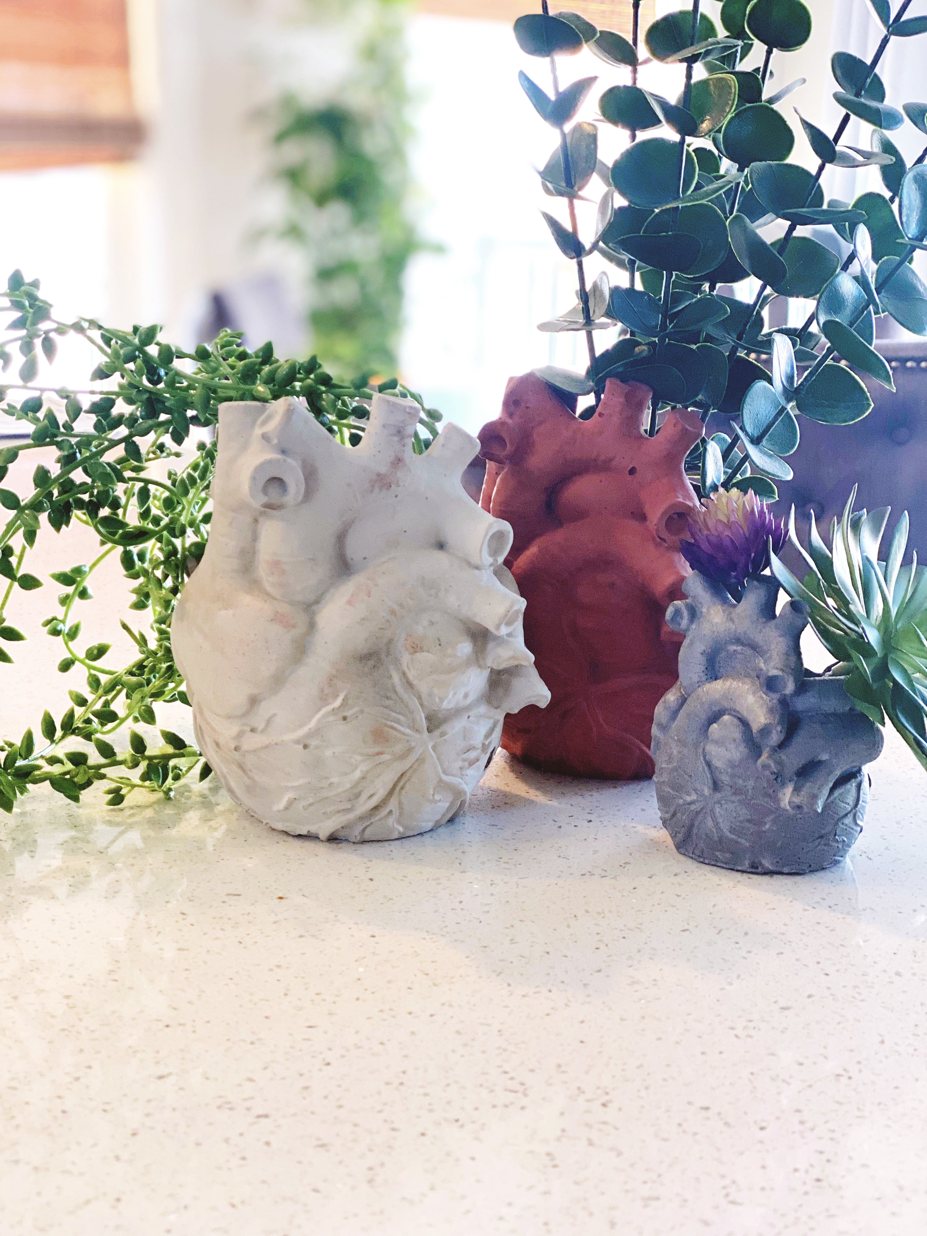 Anatomical Heart Planter