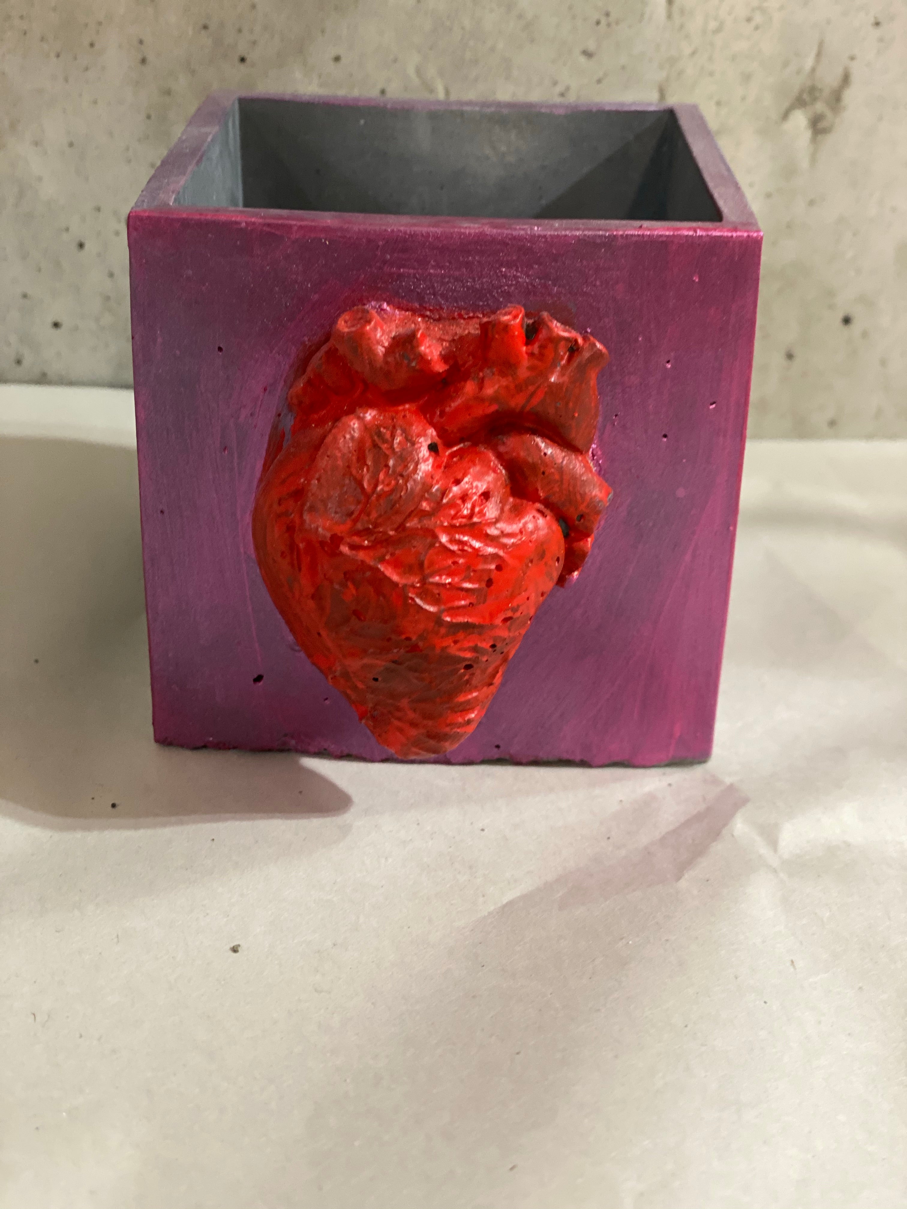 Anatomical Cube