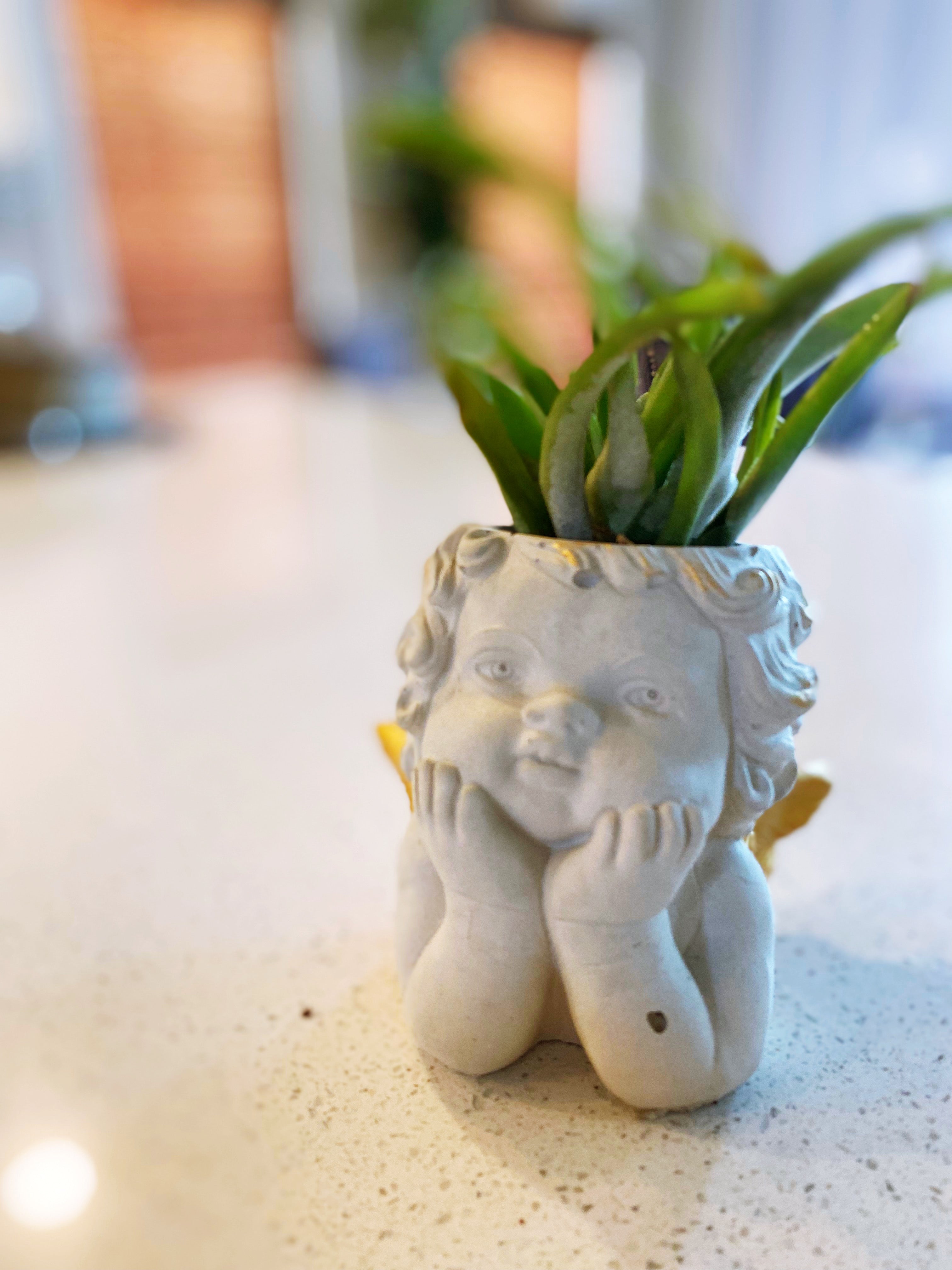 Gabriel Cherub Planter