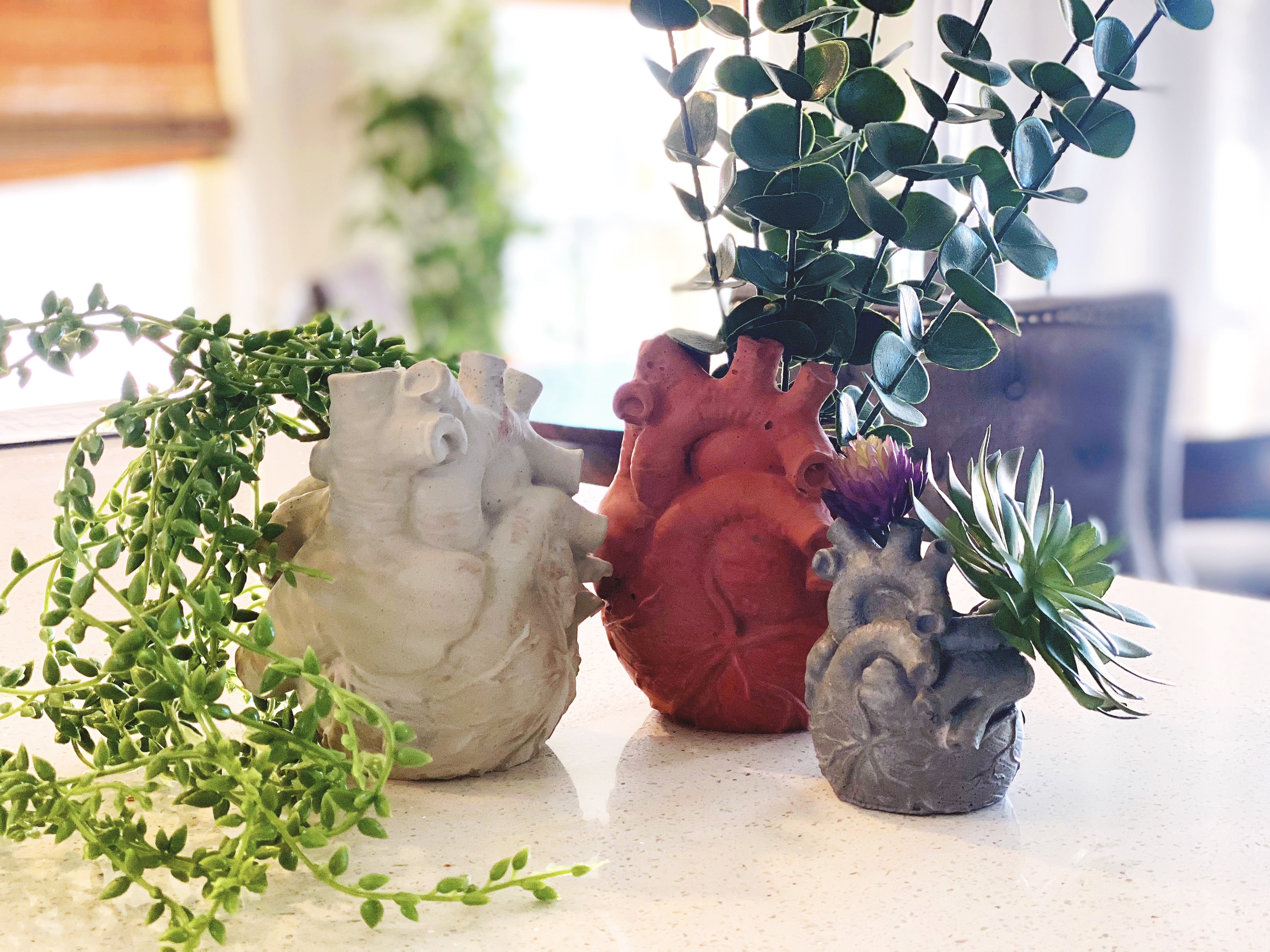 Anatomical Heart Planter