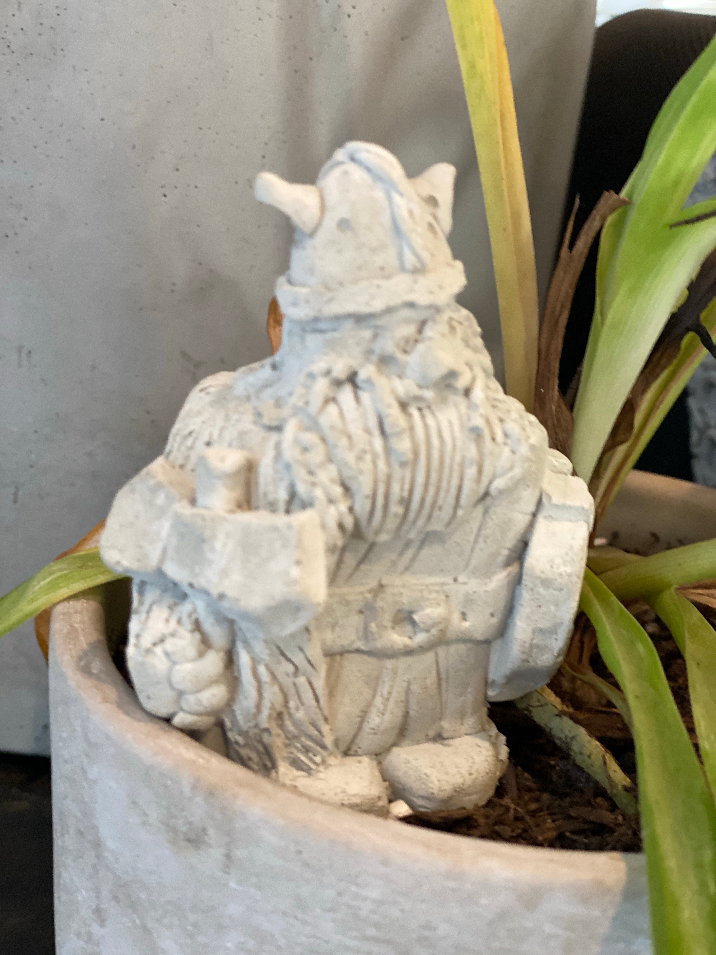 Leif, the Viking Plant Buddy