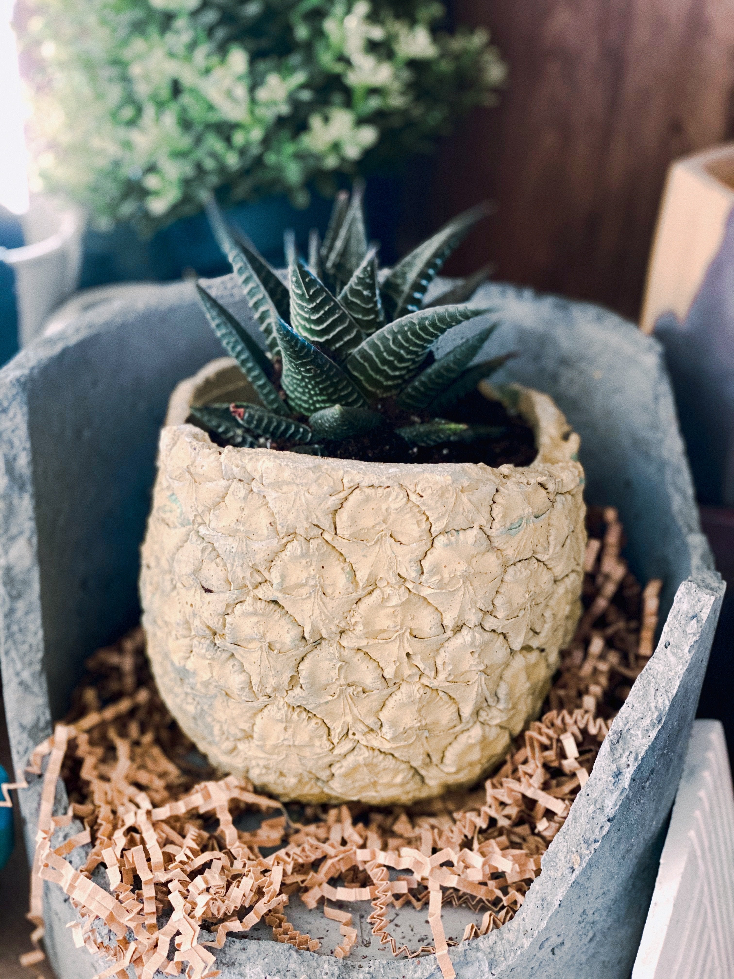 Pineapple Concrete Planter - Grey Shed