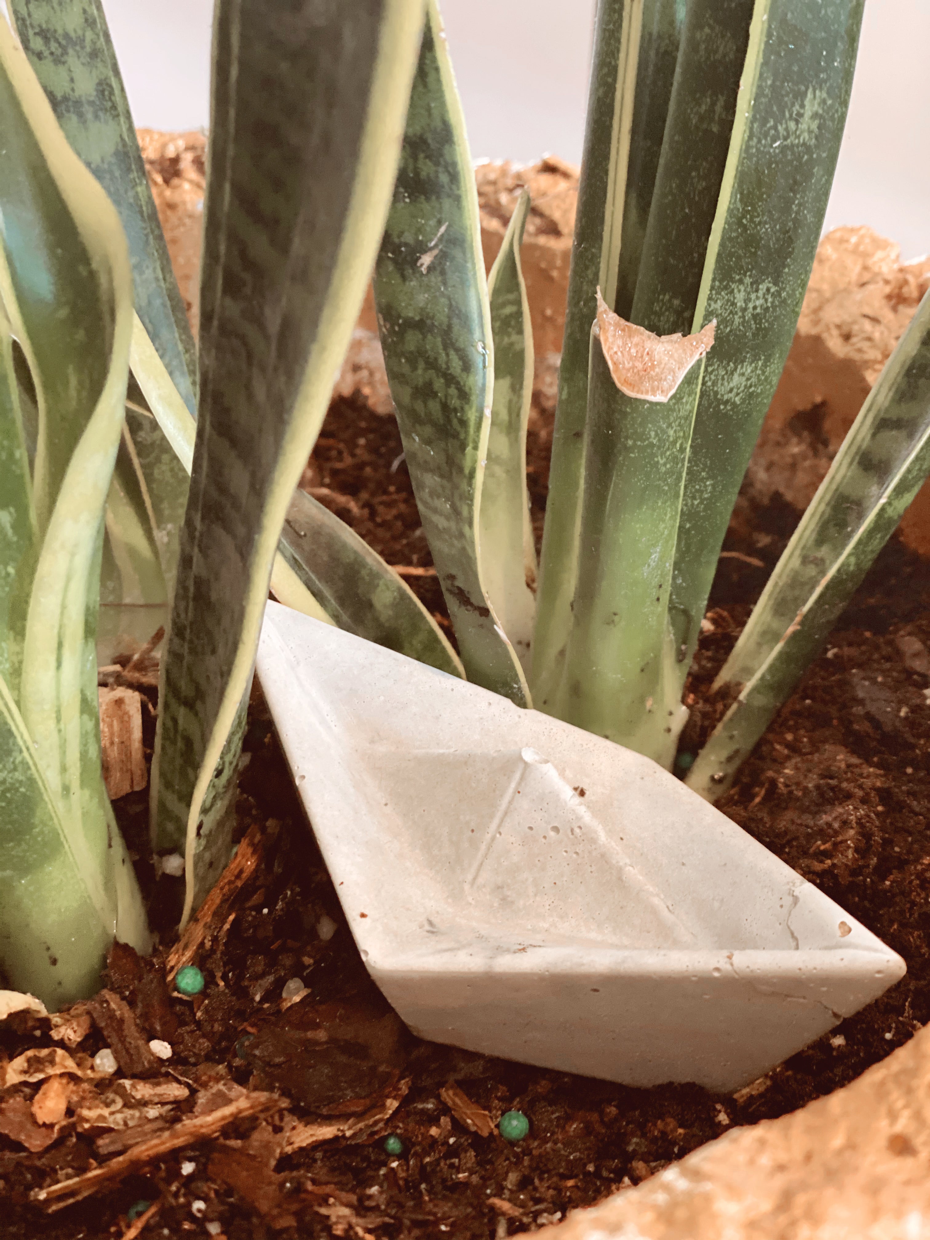 Paper <Concrete> Boat Incense Holder