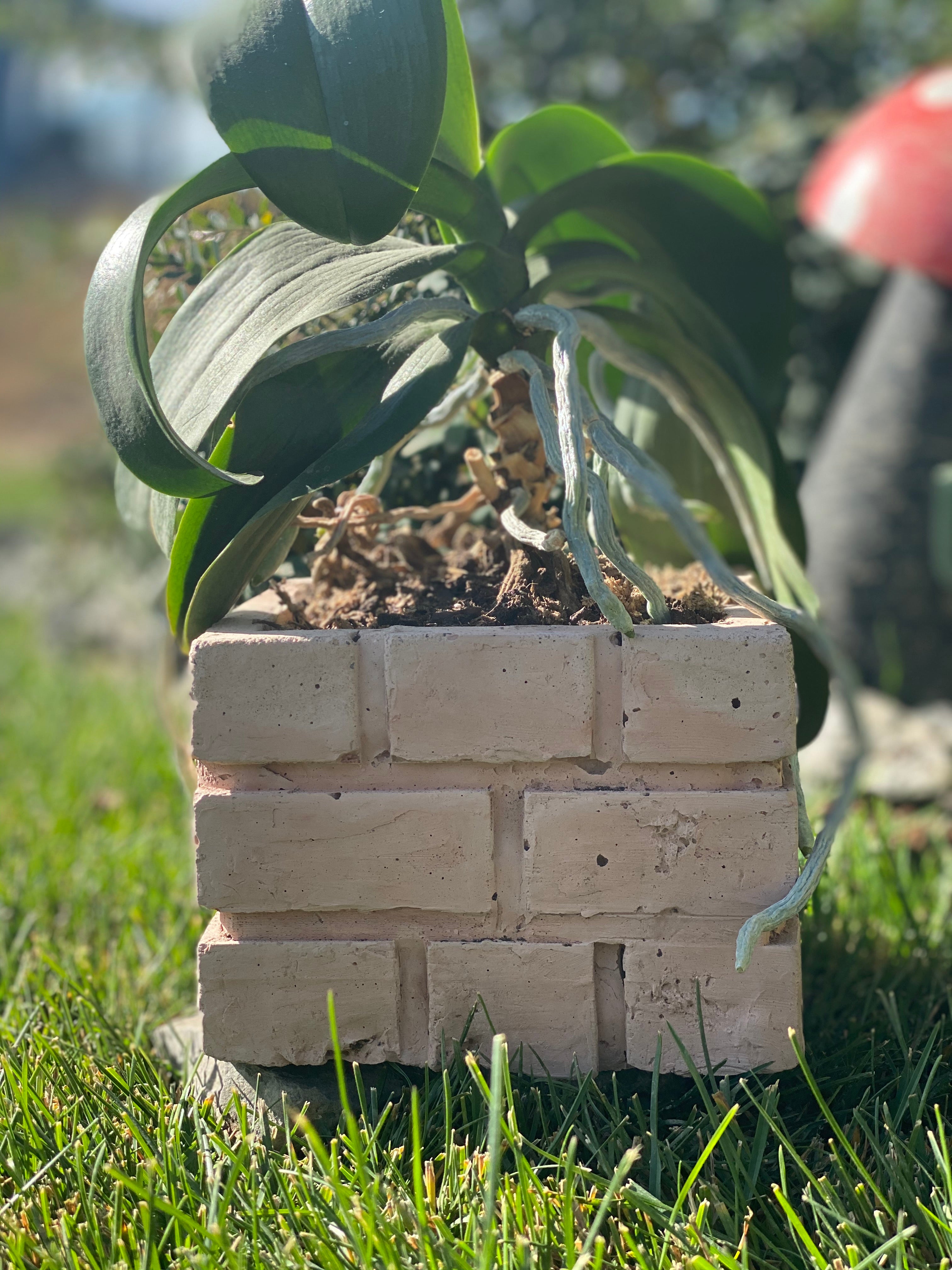 Little plumber planters
