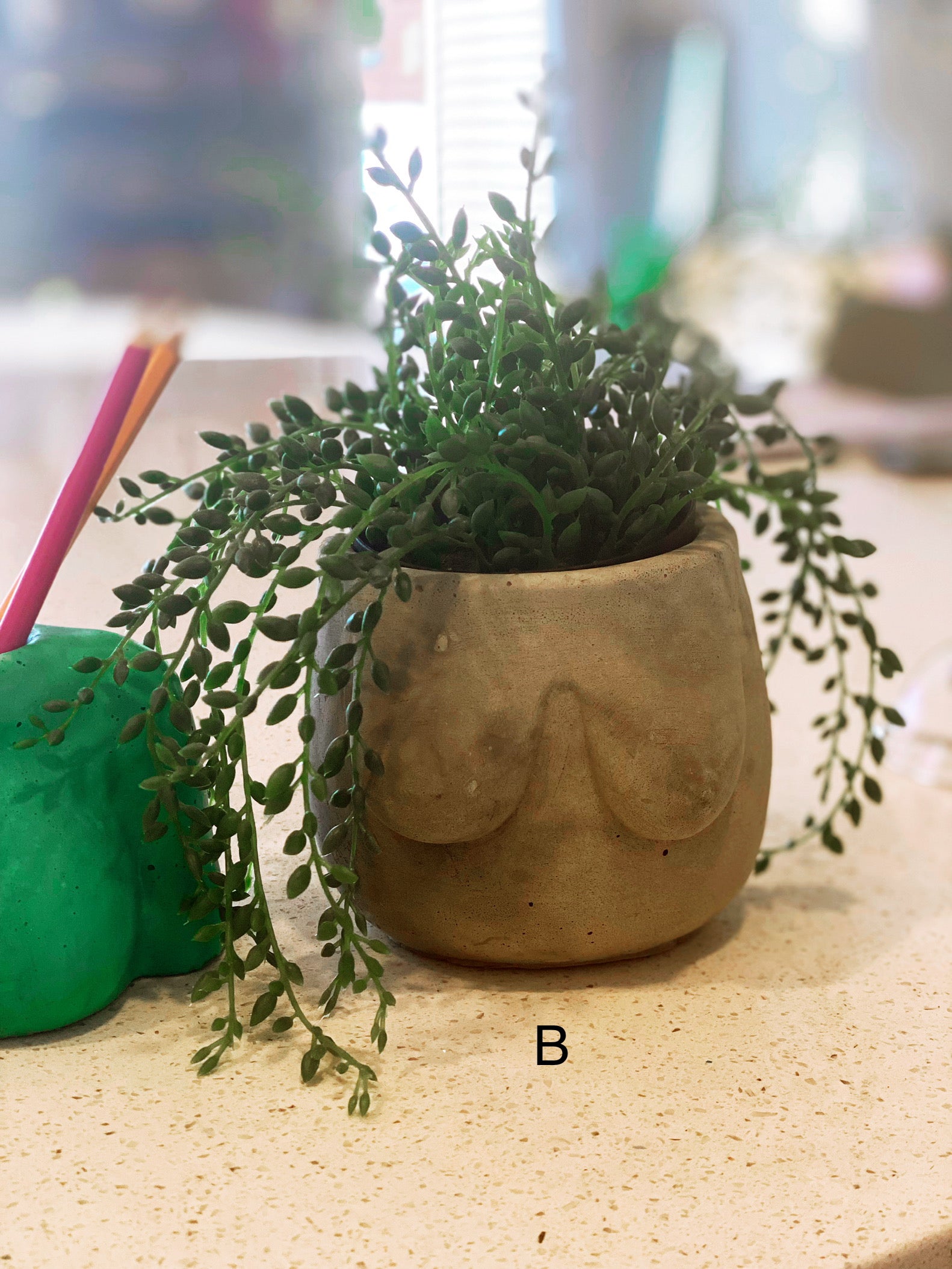 Boobies Planters