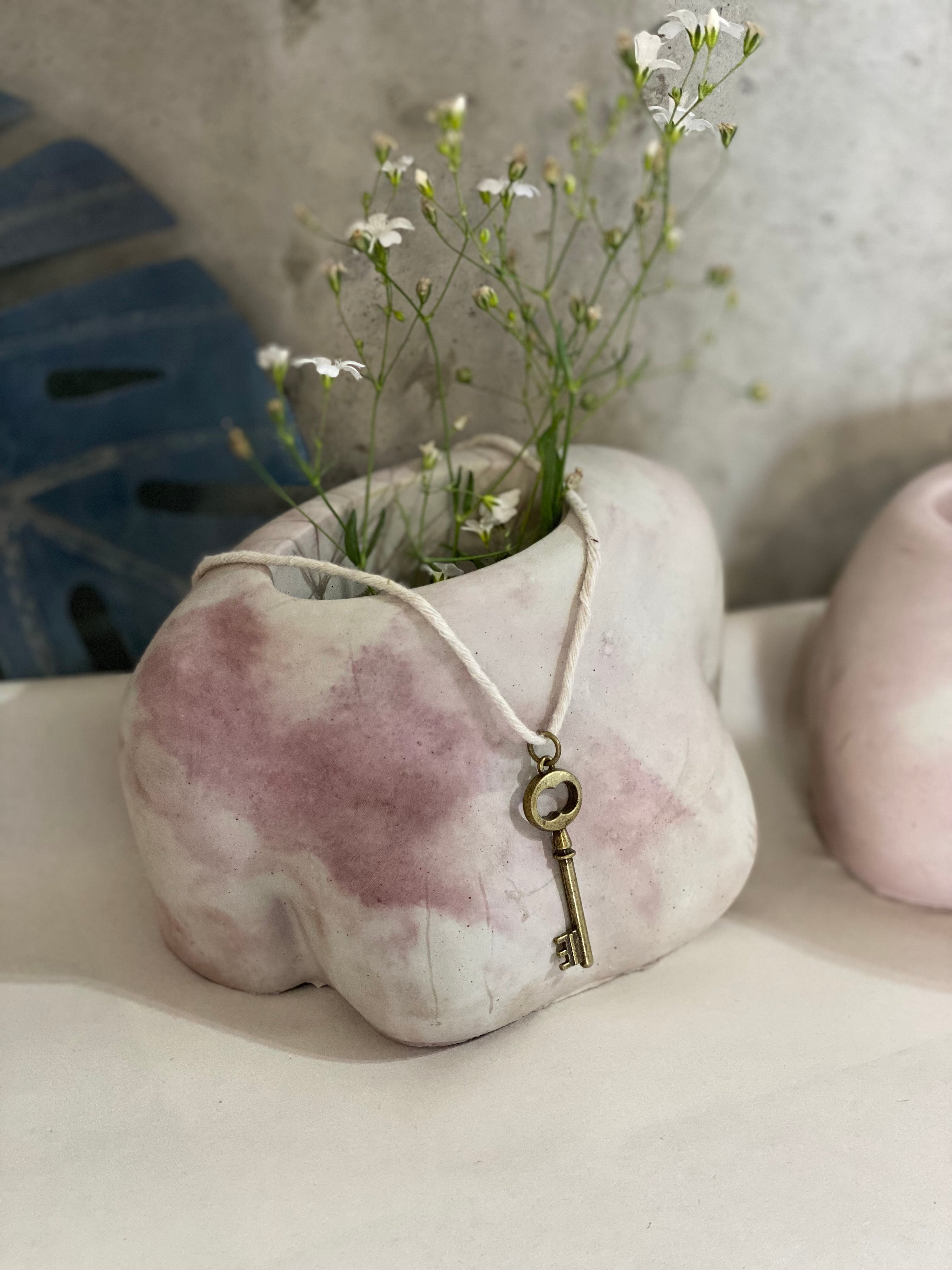 Boobies Planters