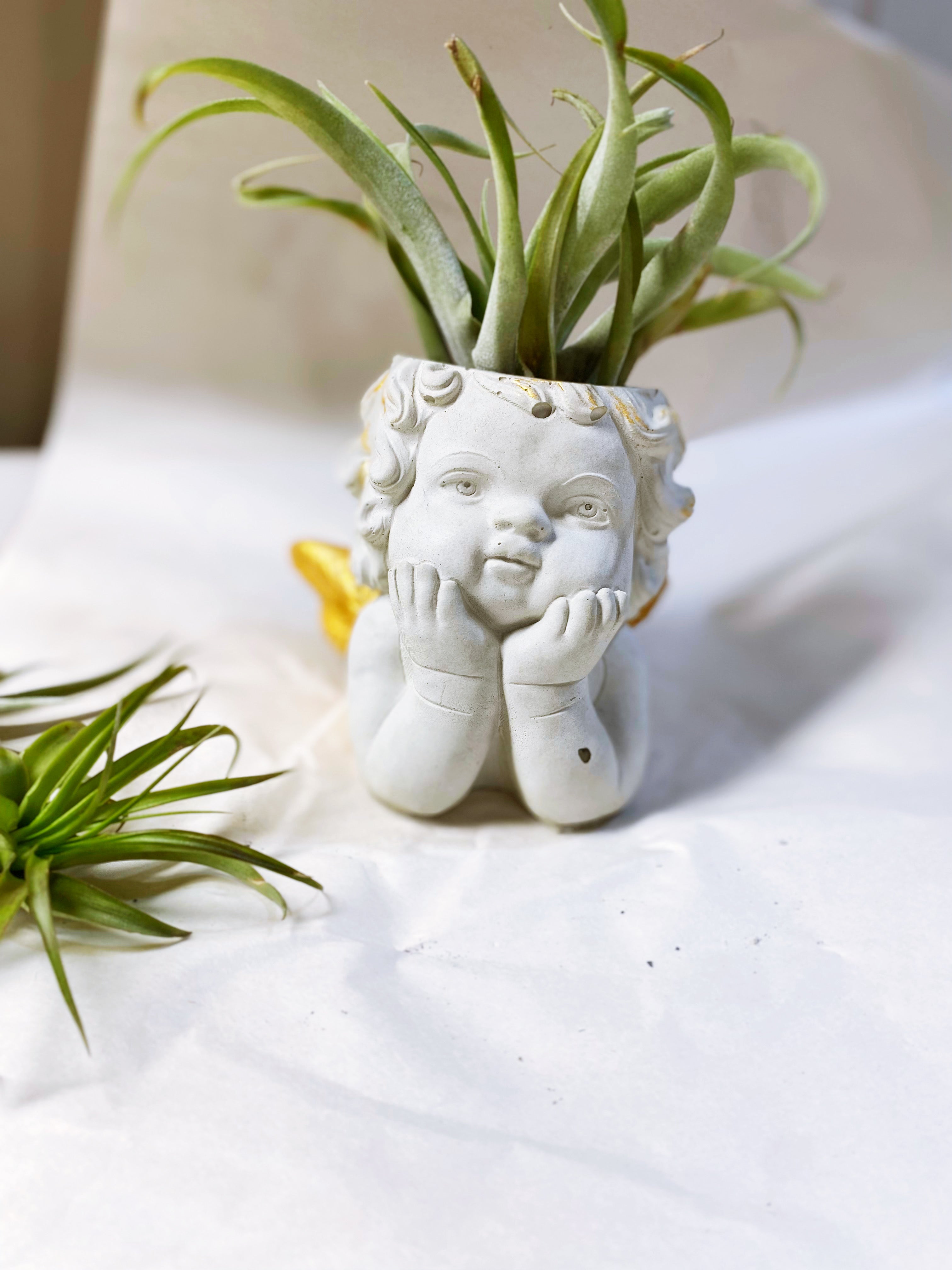 Gabriel Cherub Planter