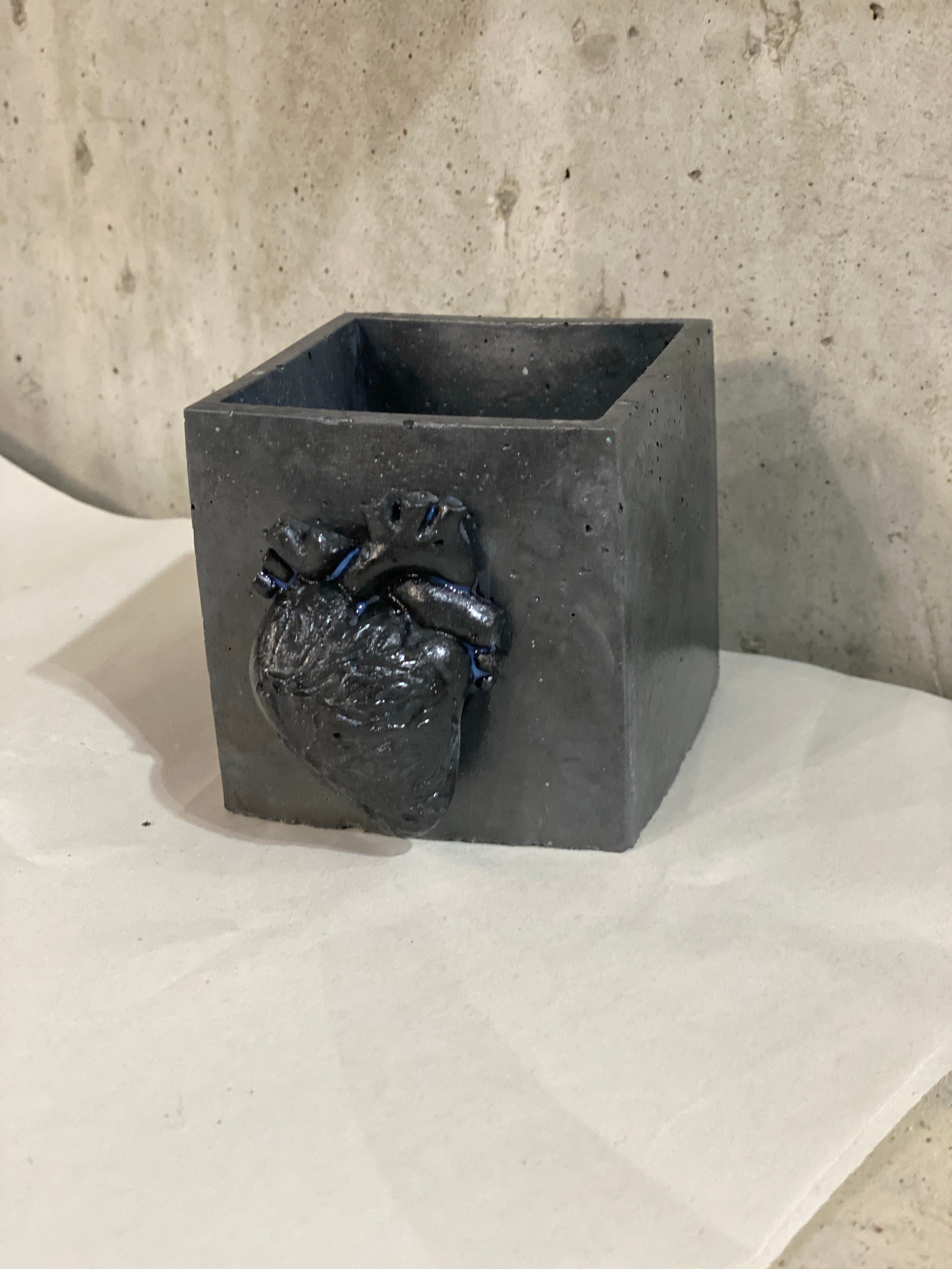 Anatomical Cube