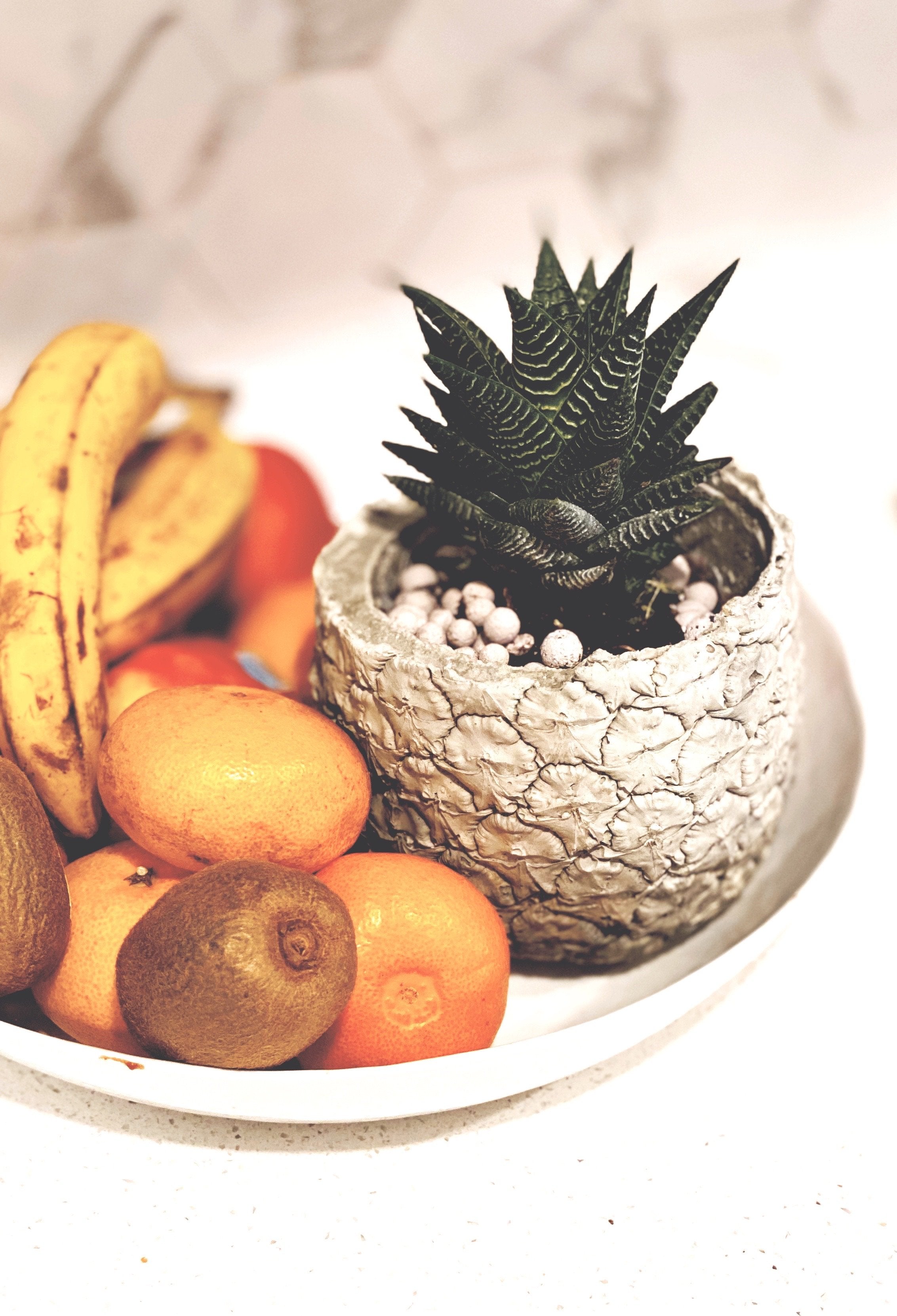 Pineapple Concrete Planter - Grey Shed