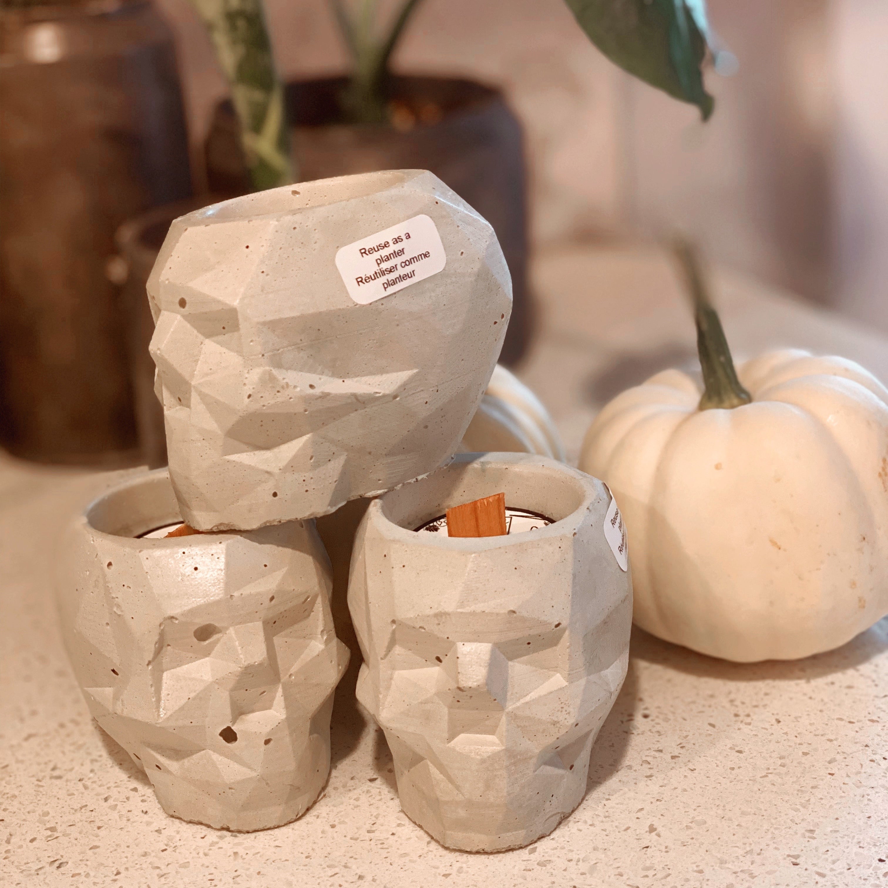 Concrete Skull Crackling Candle