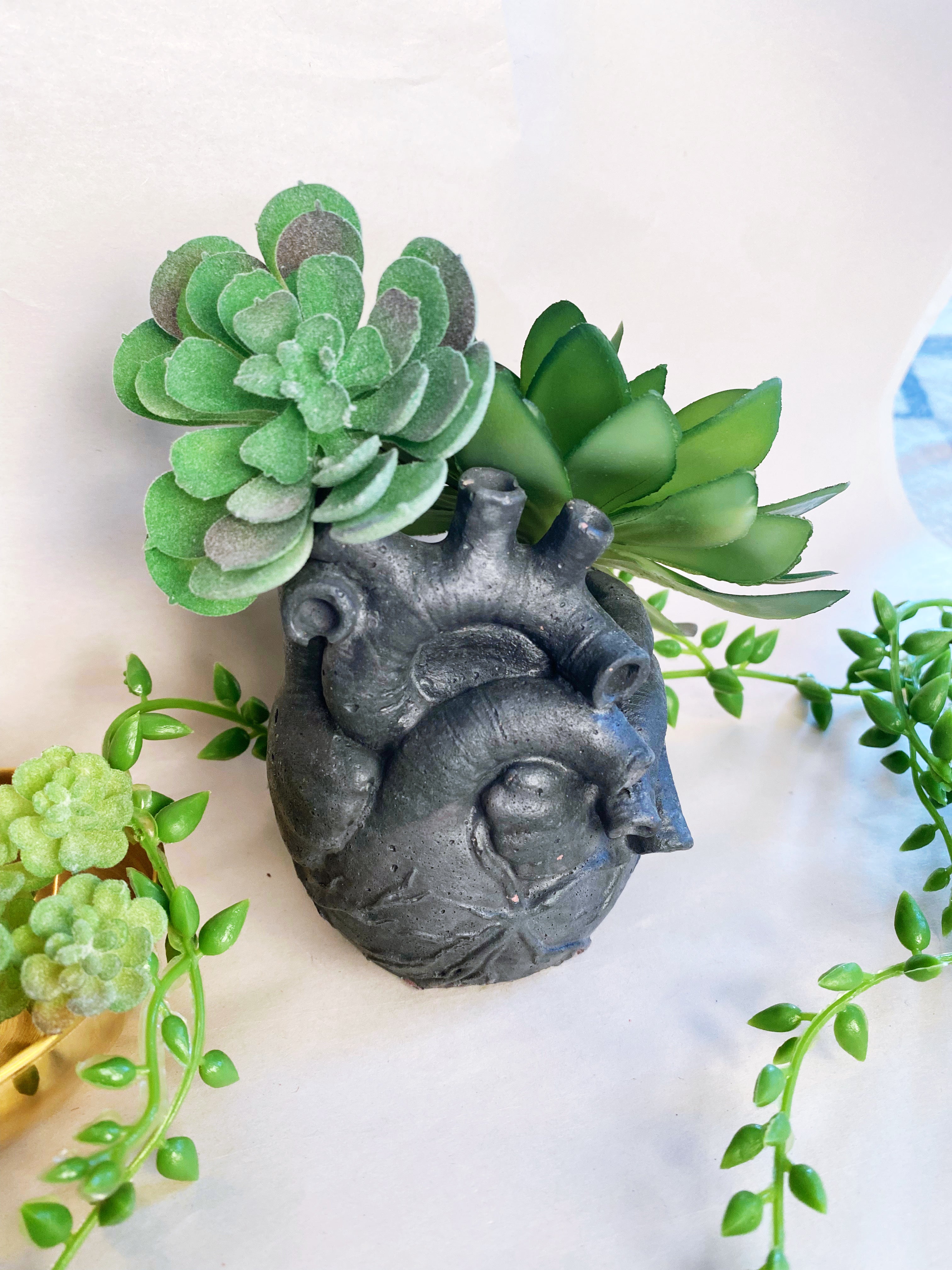 Anatomical Heart Planter