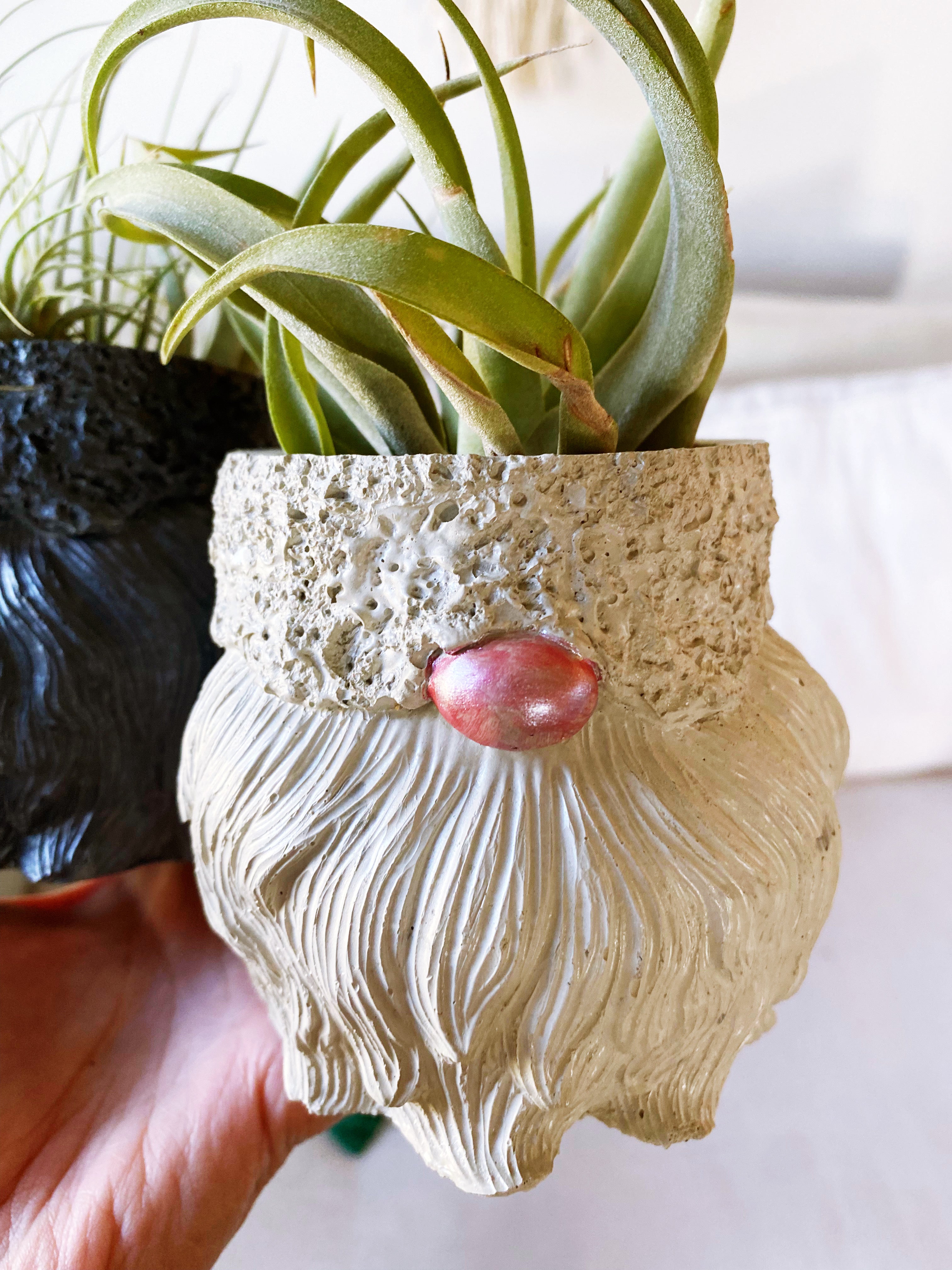 Gnome Planter