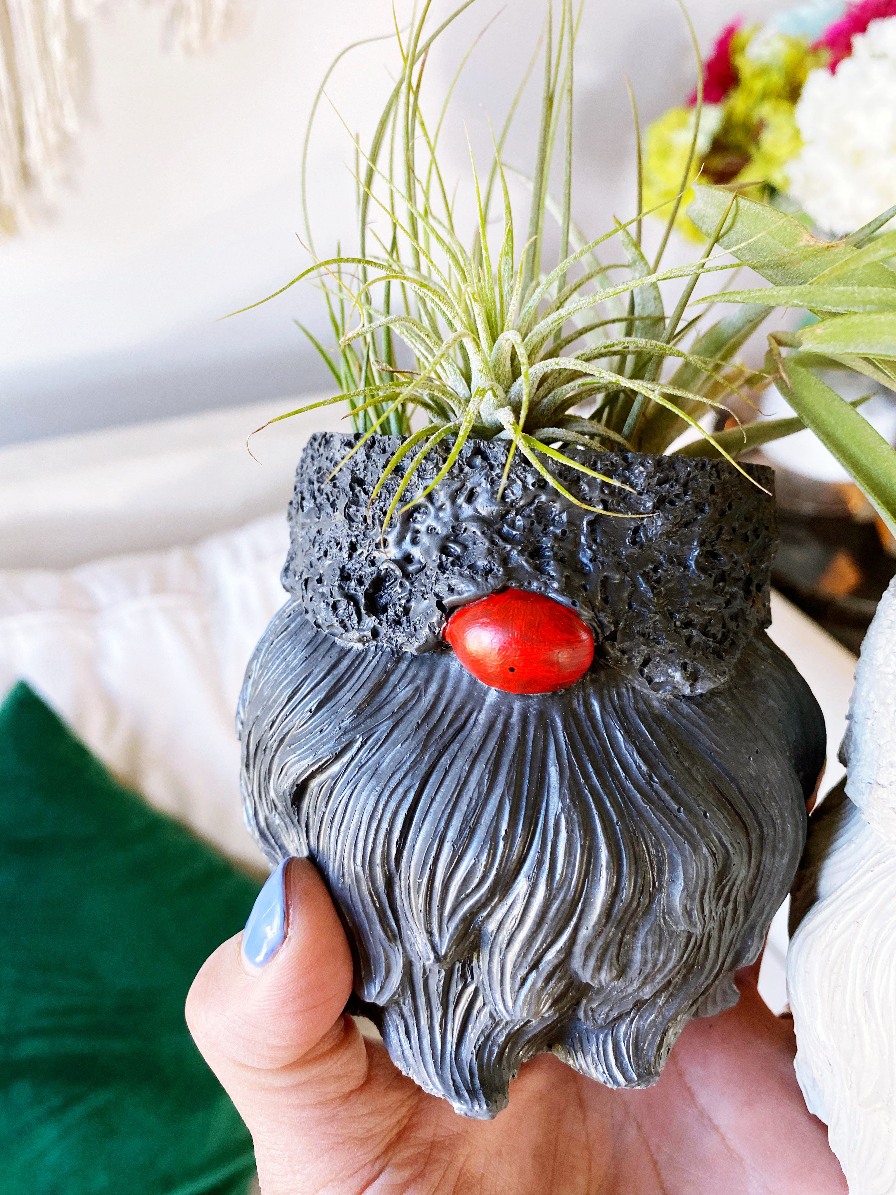 Gnome Planter