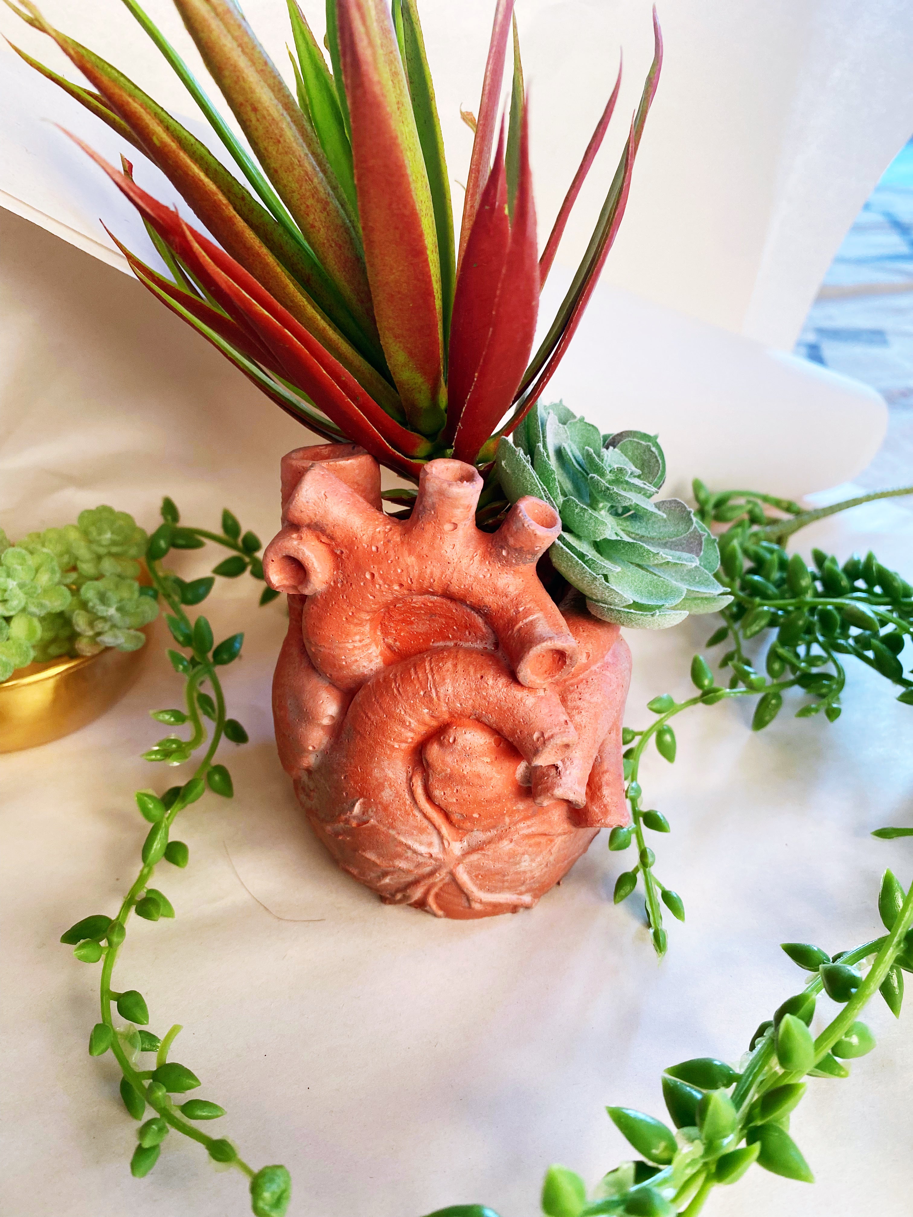 Anatomical Heart Planter