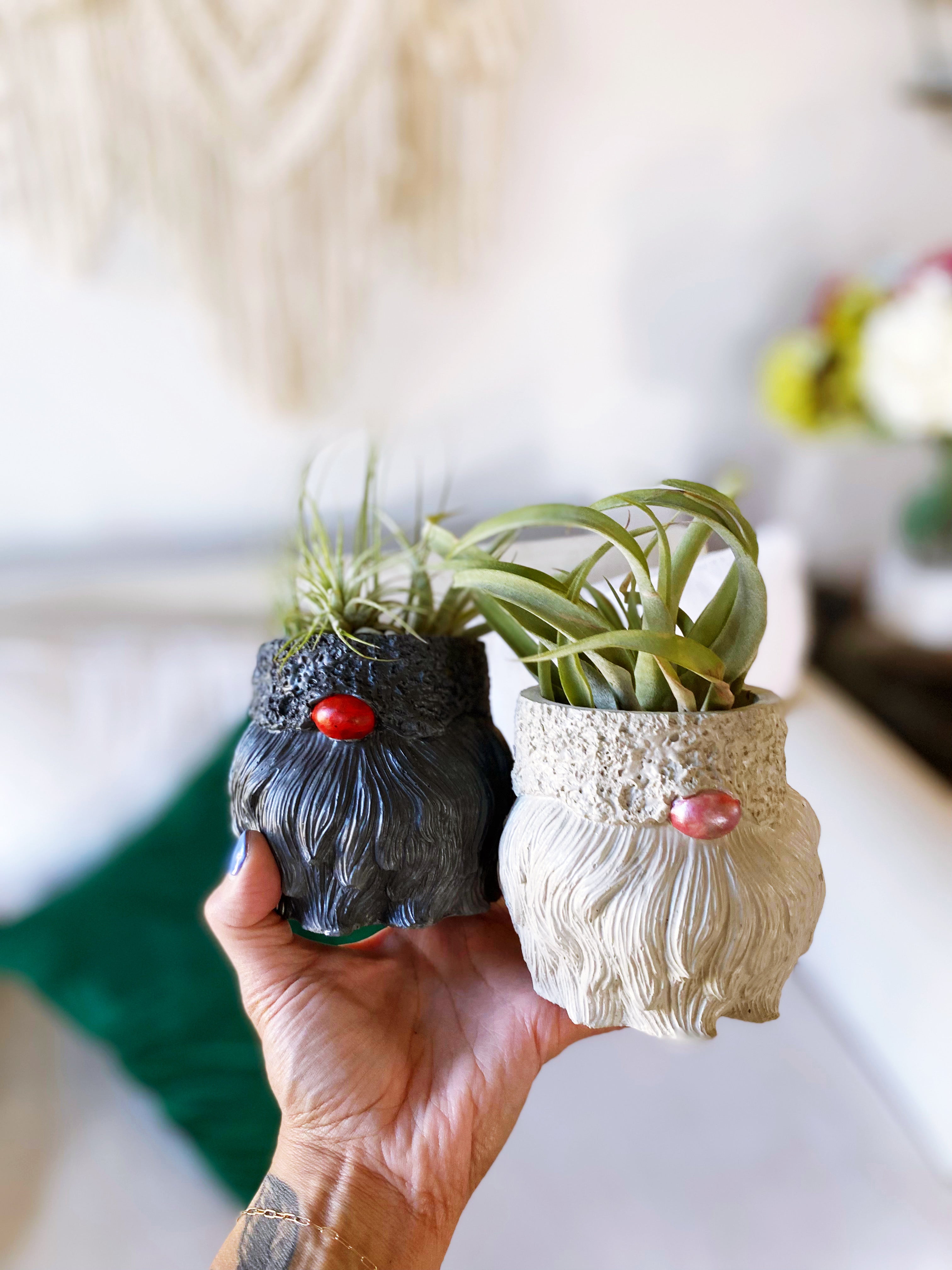Gnome Planter