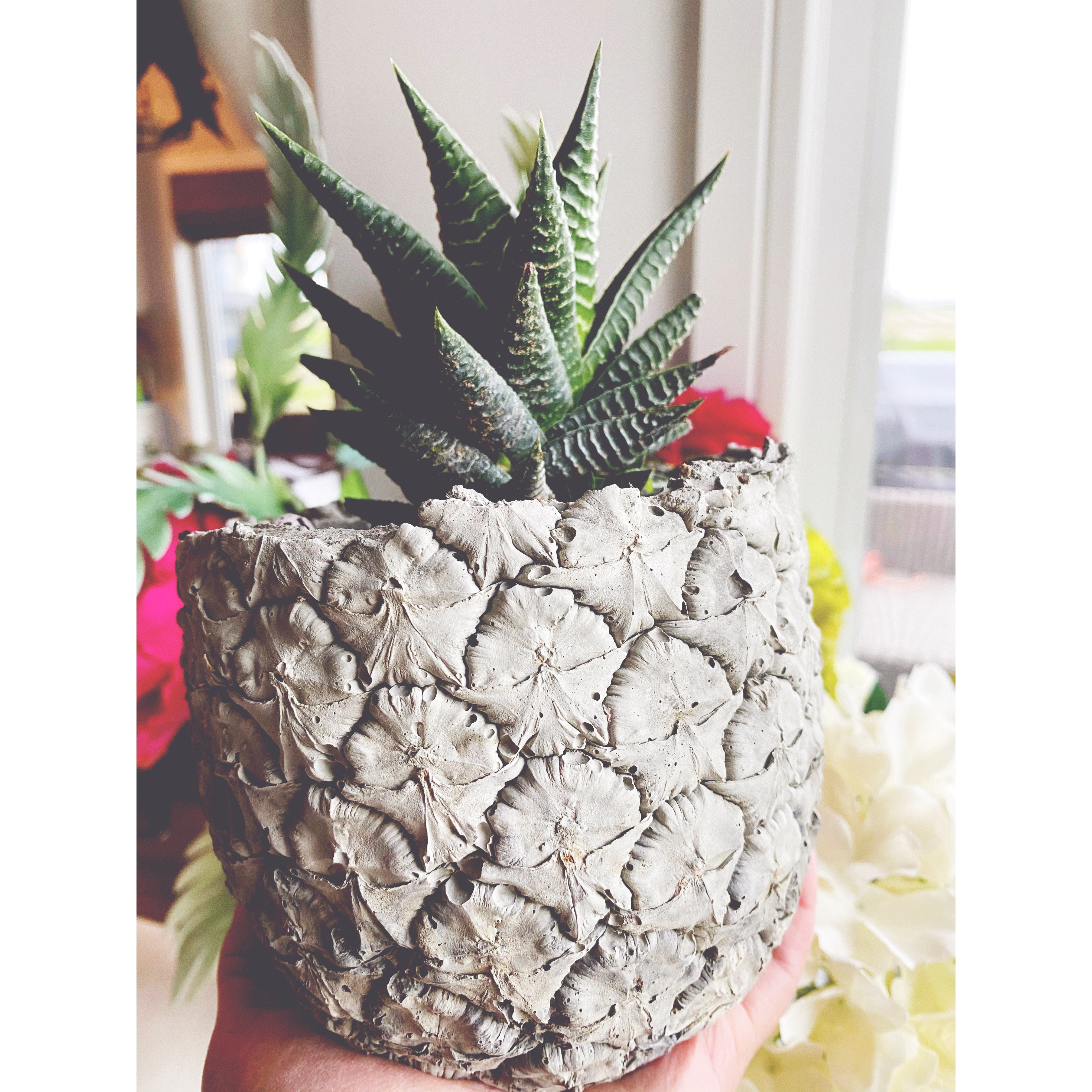 Pineapple Concrete Planter - Grey Shed