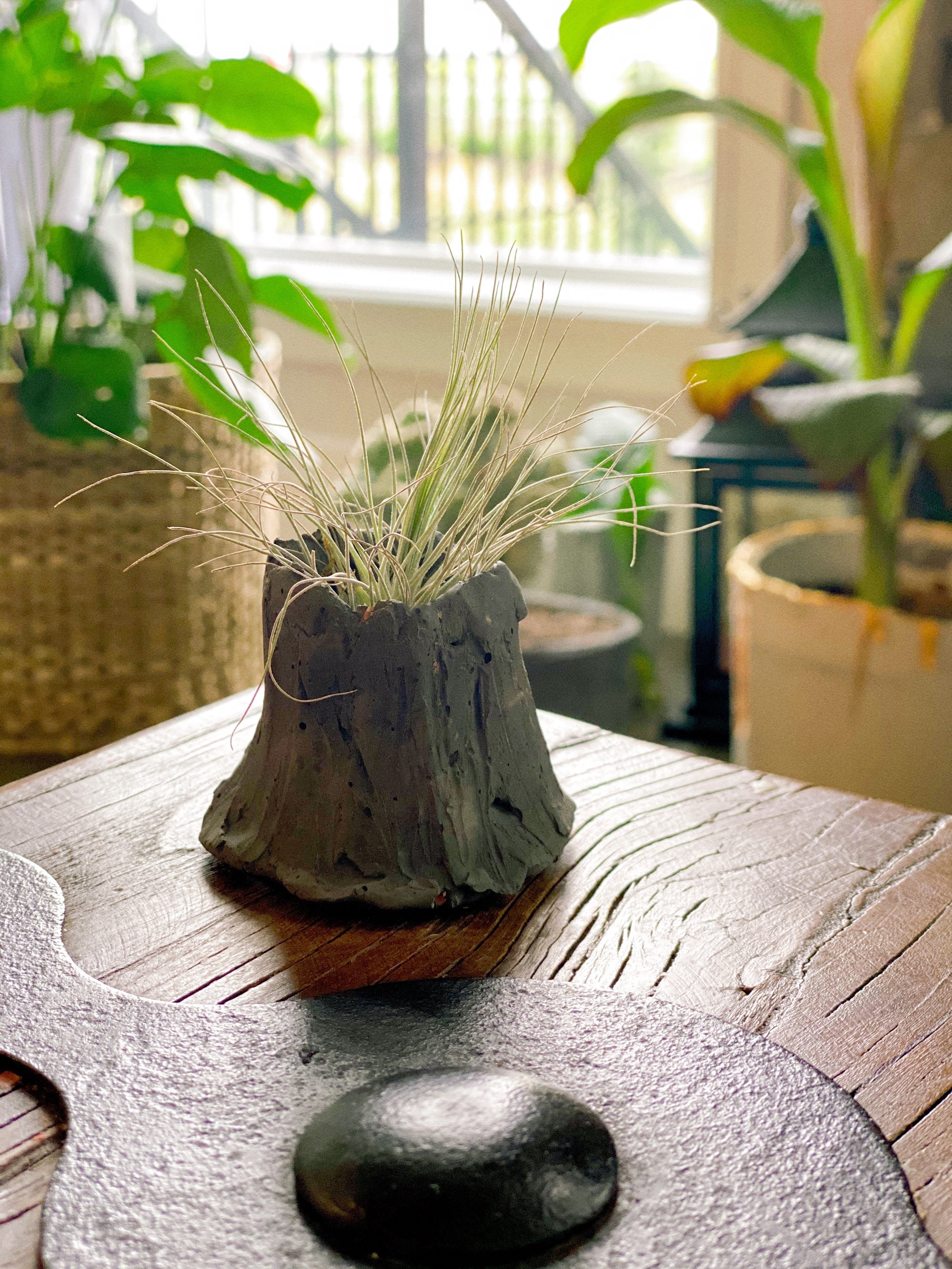 Volcano Airplant Holder - Grey Shed