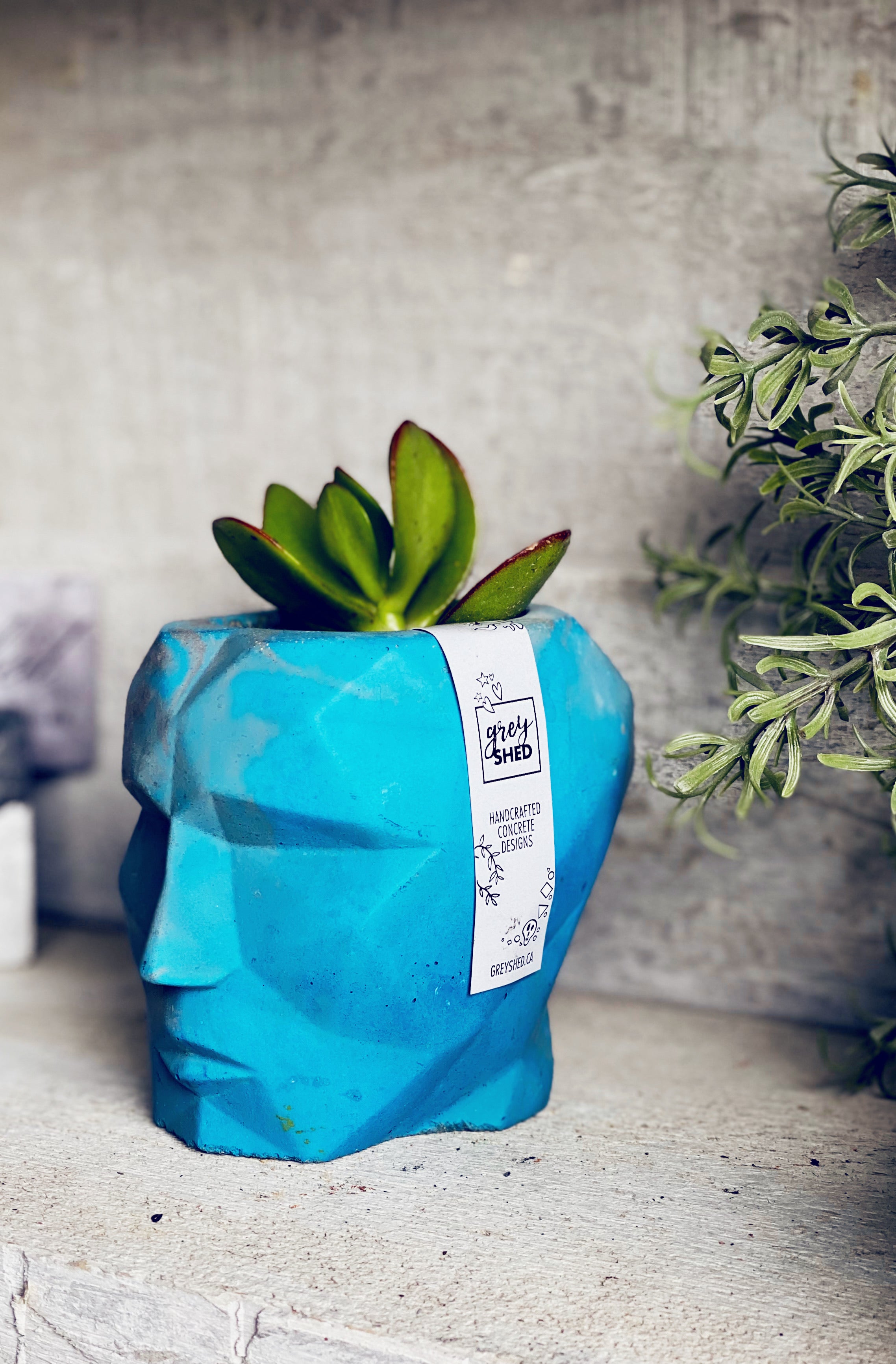 The Sven Concrete Planter
