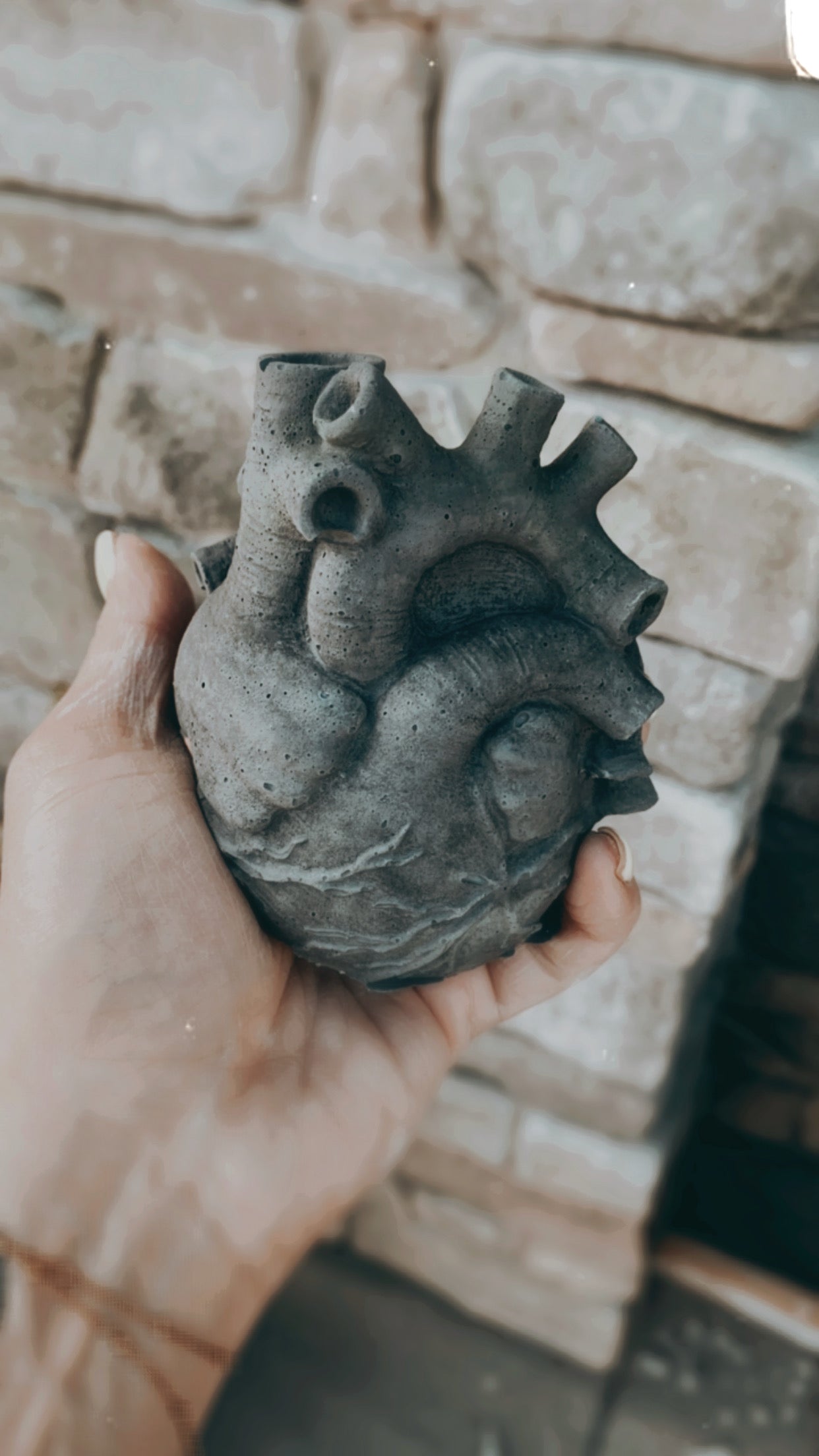 Anatomical Heart Planter