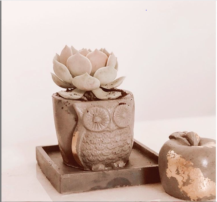 Owl Planter