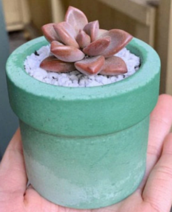 Little plumber planters