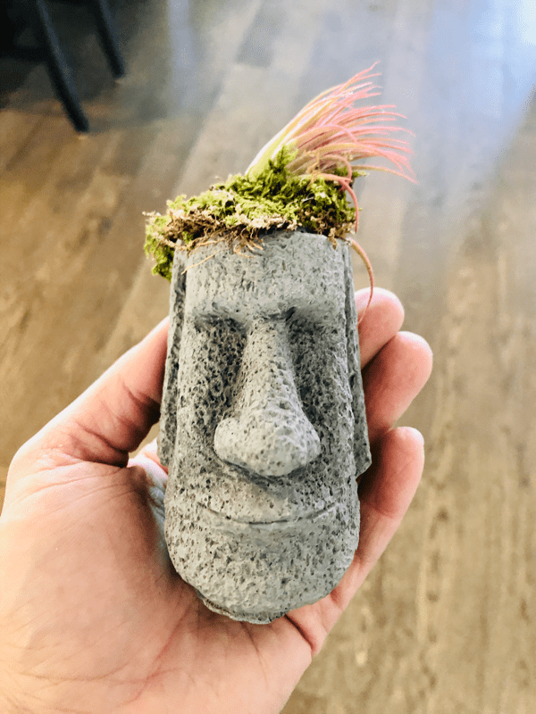 Easter Island Moai Head