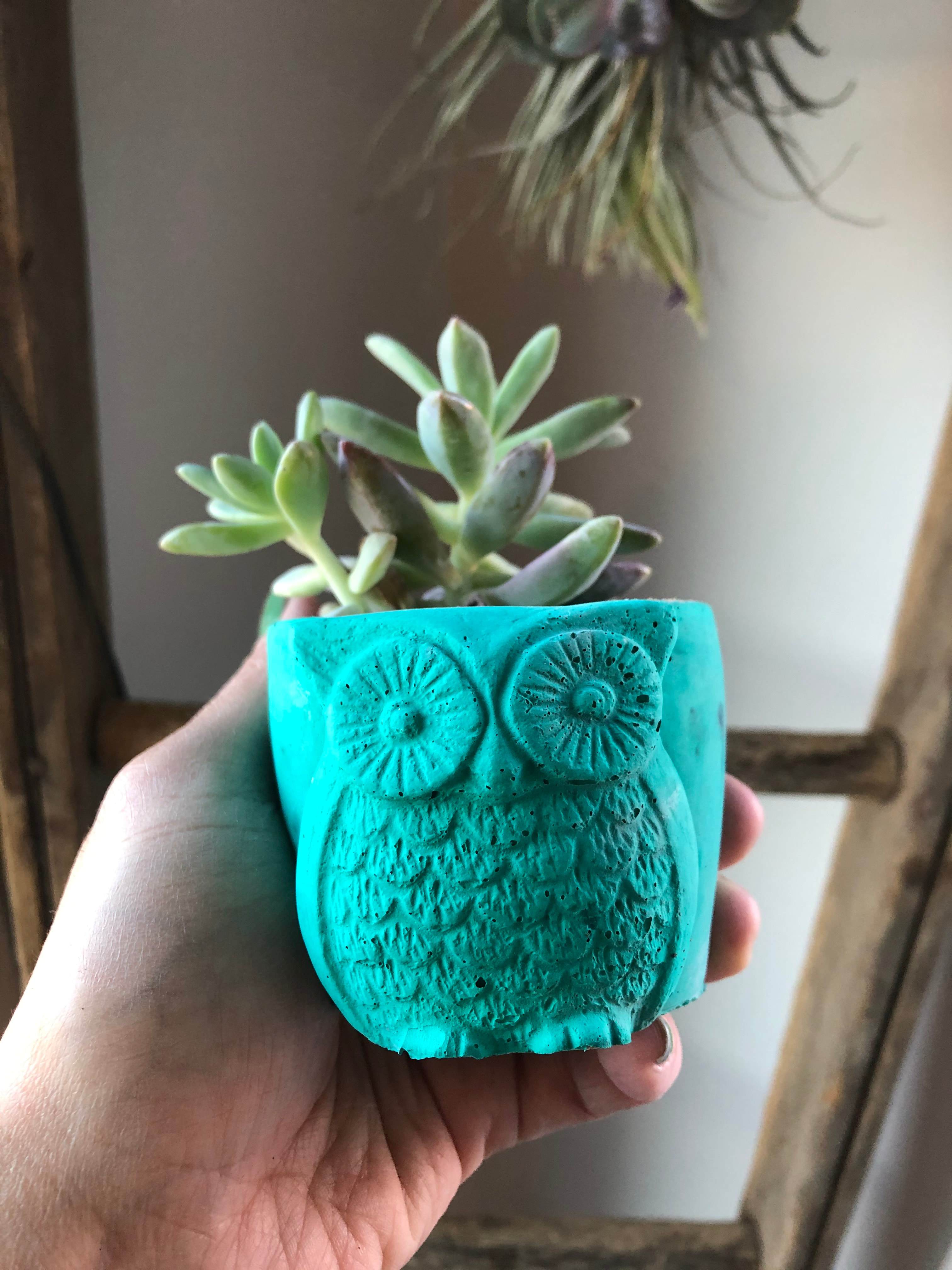 Owl Planter