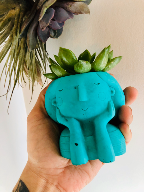 Sonderella  Planter