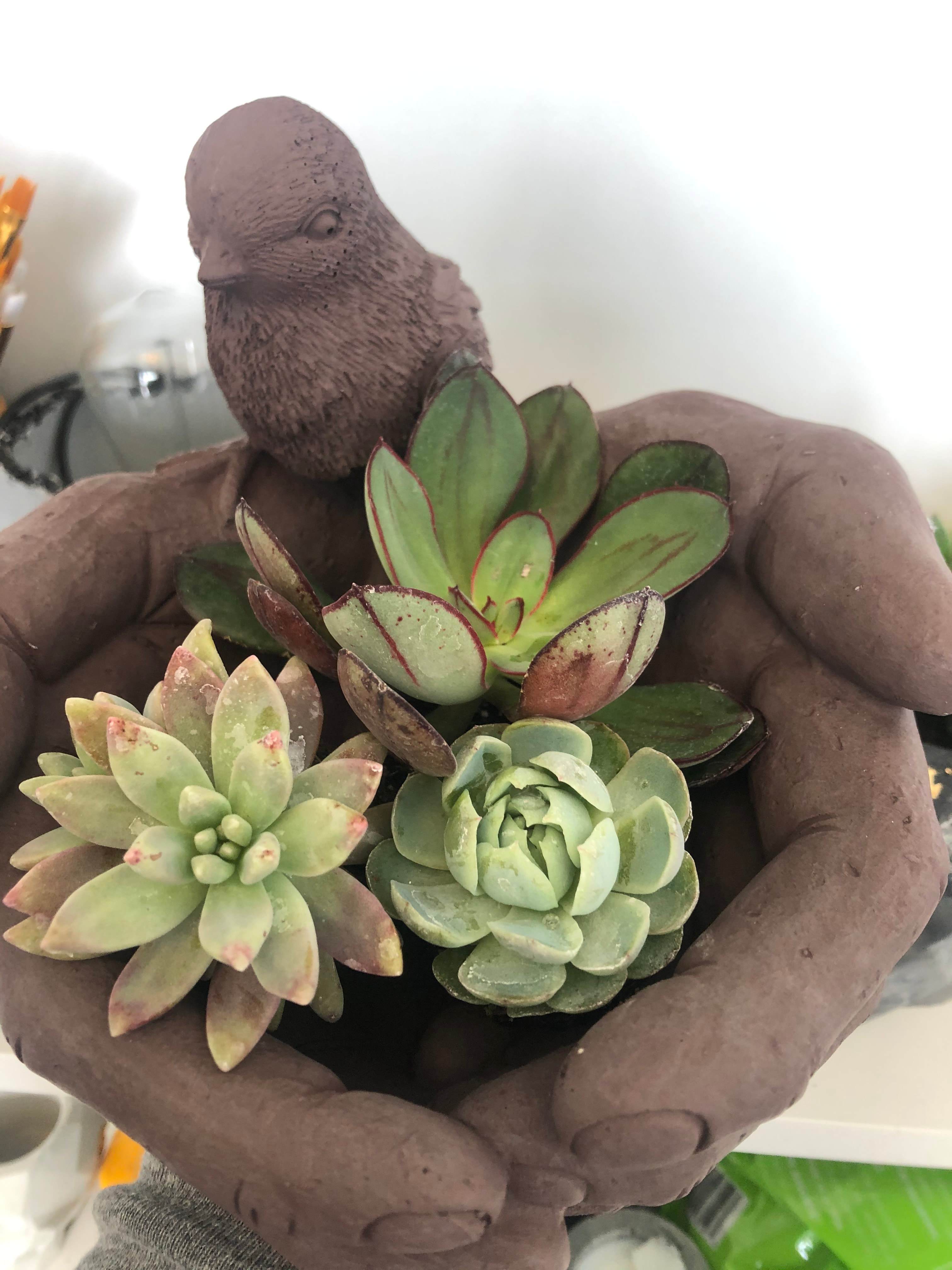 Kratos' Hands Planter | Keys Bowl