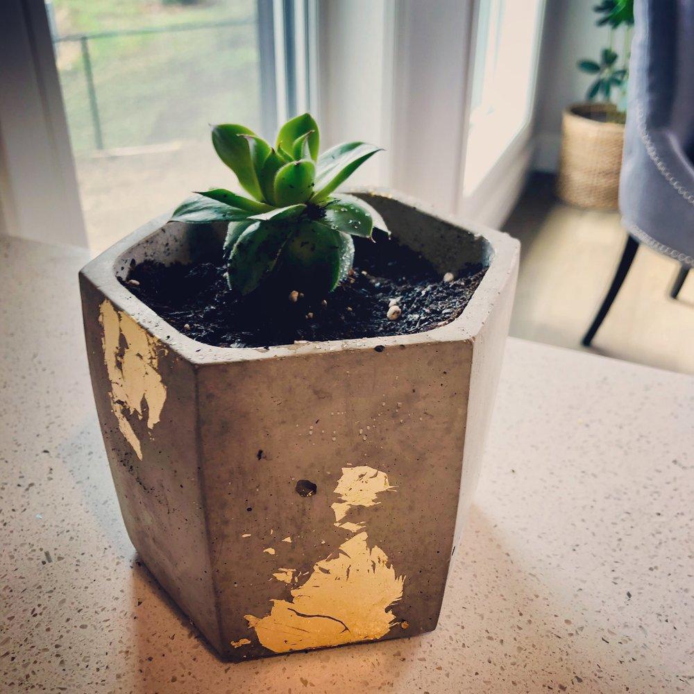 Concrete Geometric Planter