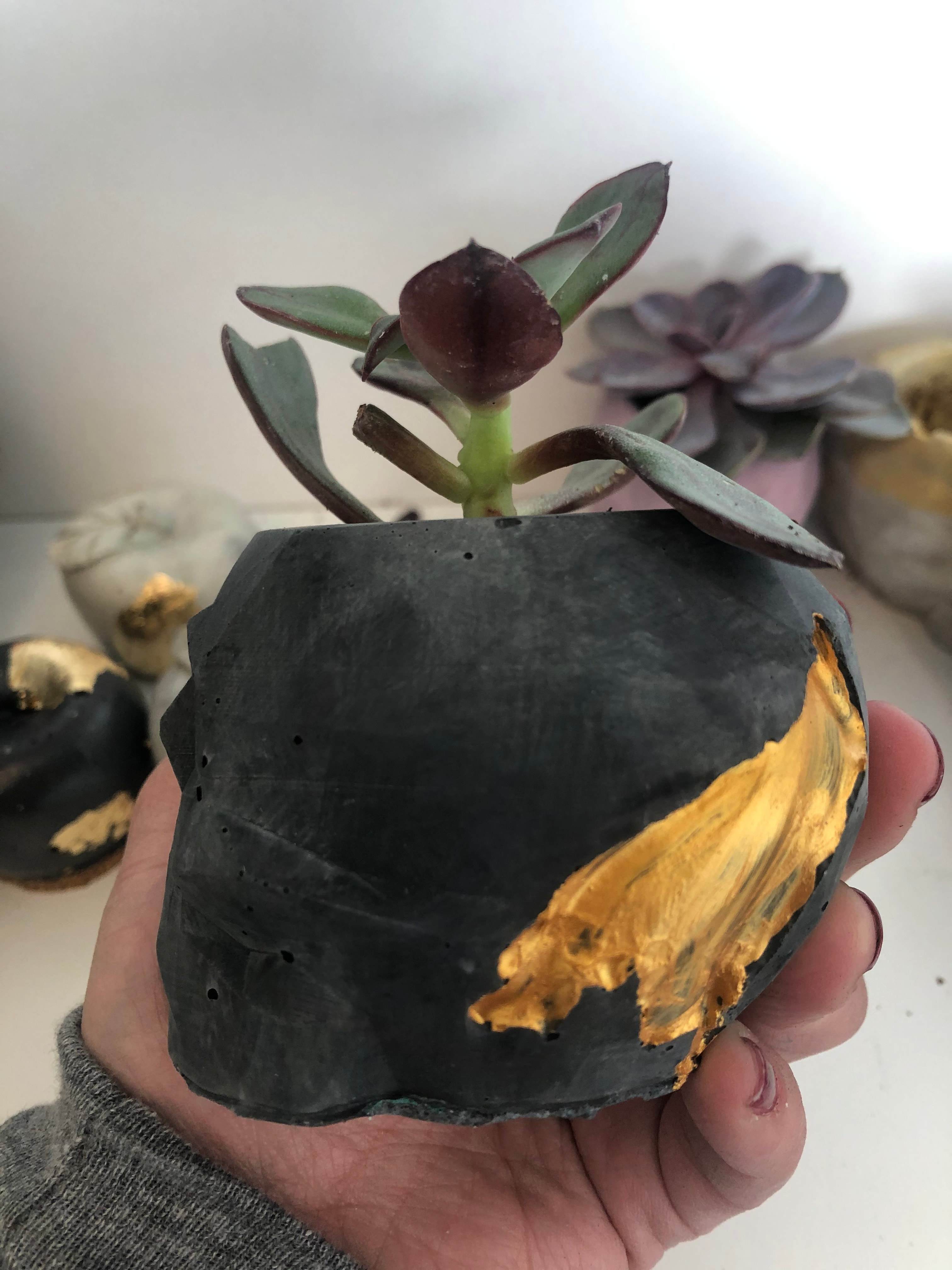 Concrete Skull Planters