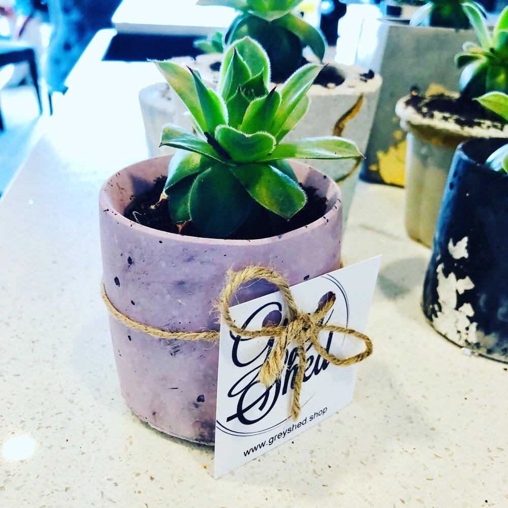 Round Concrete Planter