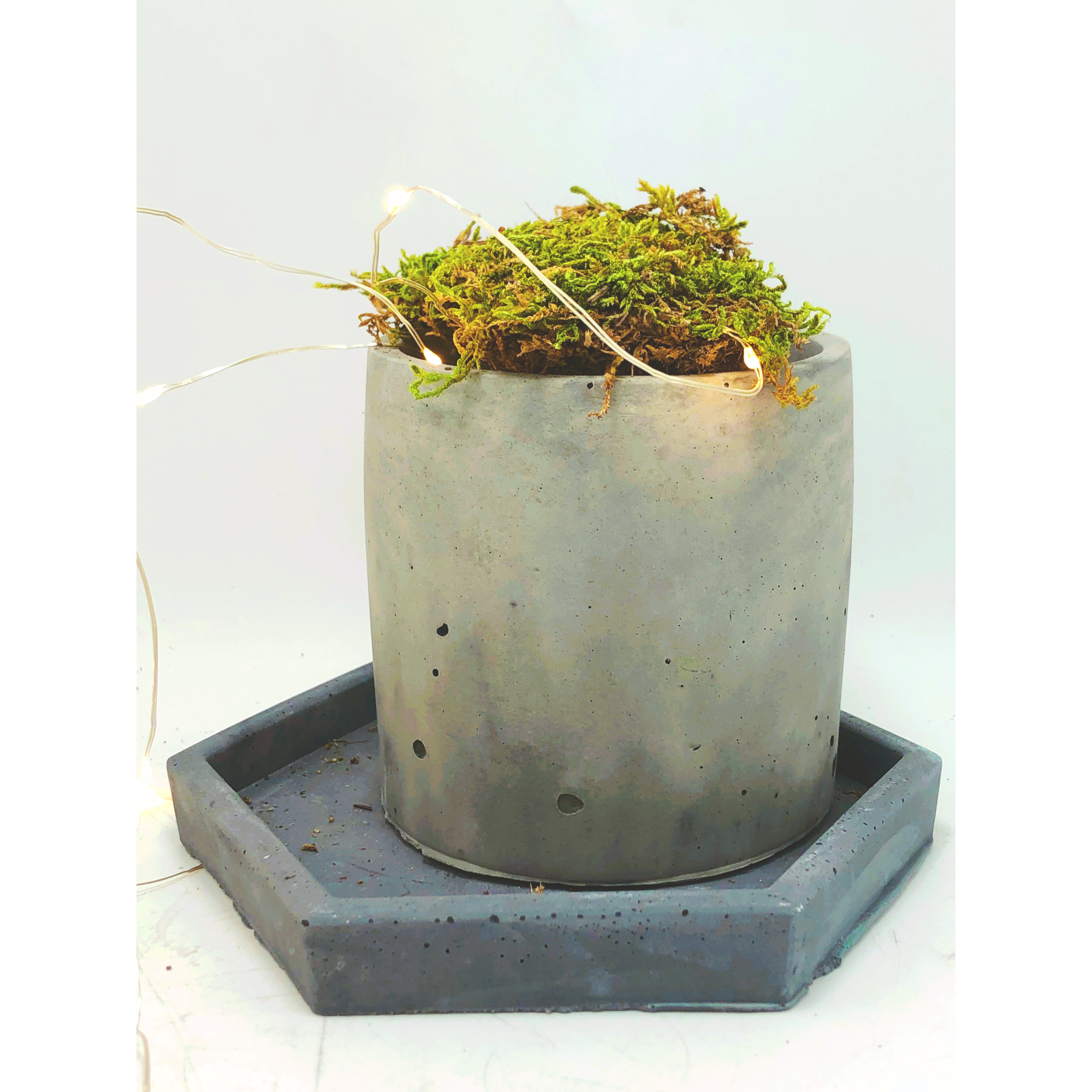 Round Concrete Planter