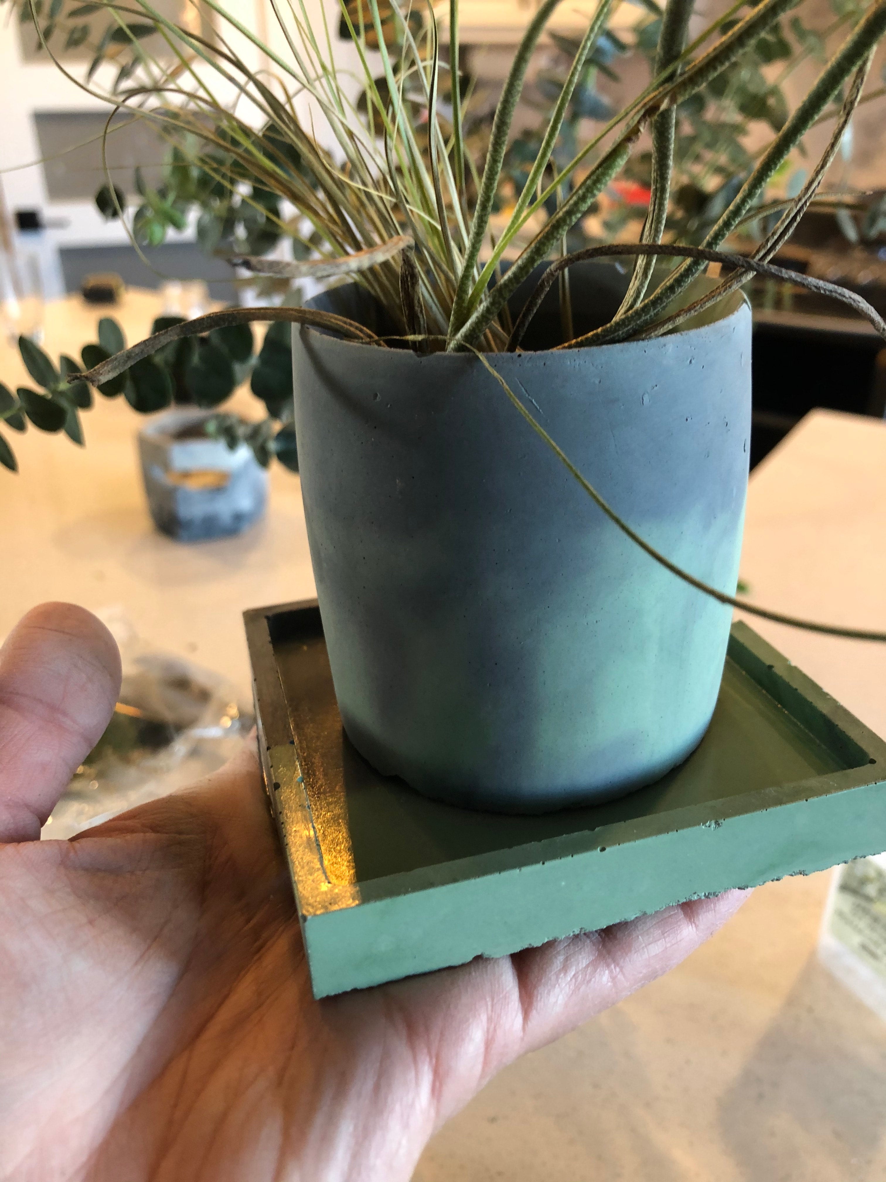 Round Concrete Planter